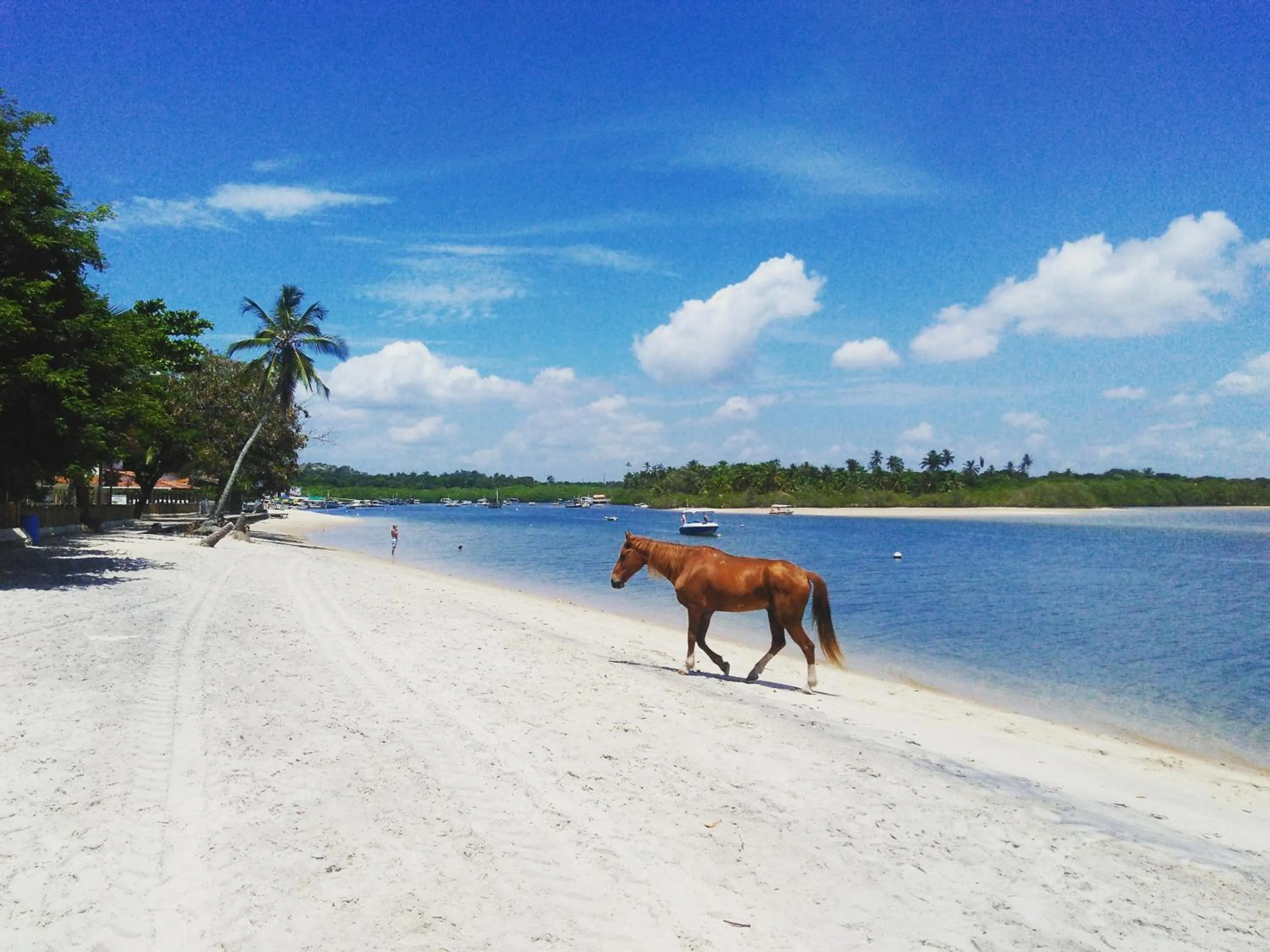Beach in Pousada Pérola do Atlântico
