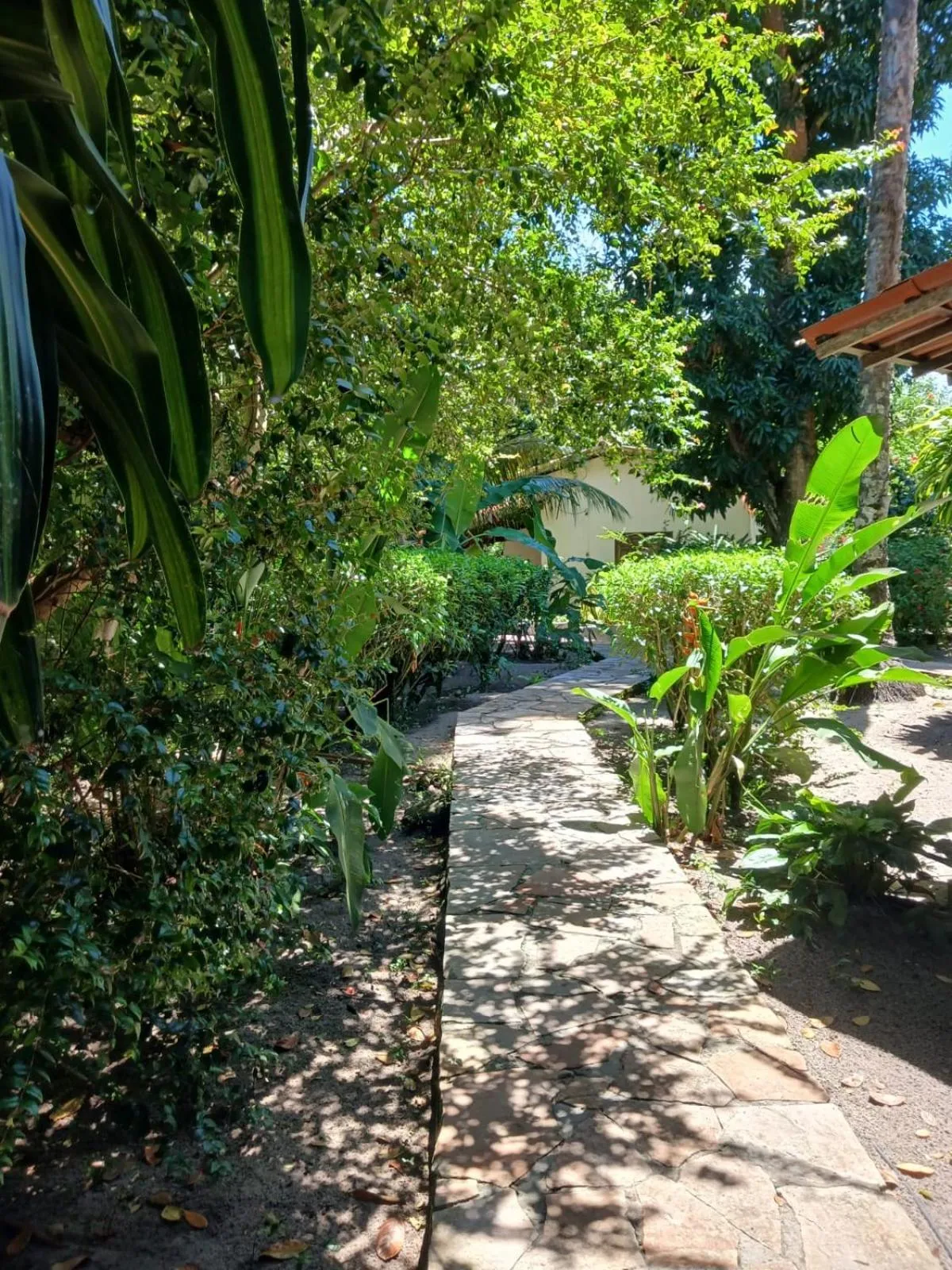 Garden in Pousada Pérola do Atlântico