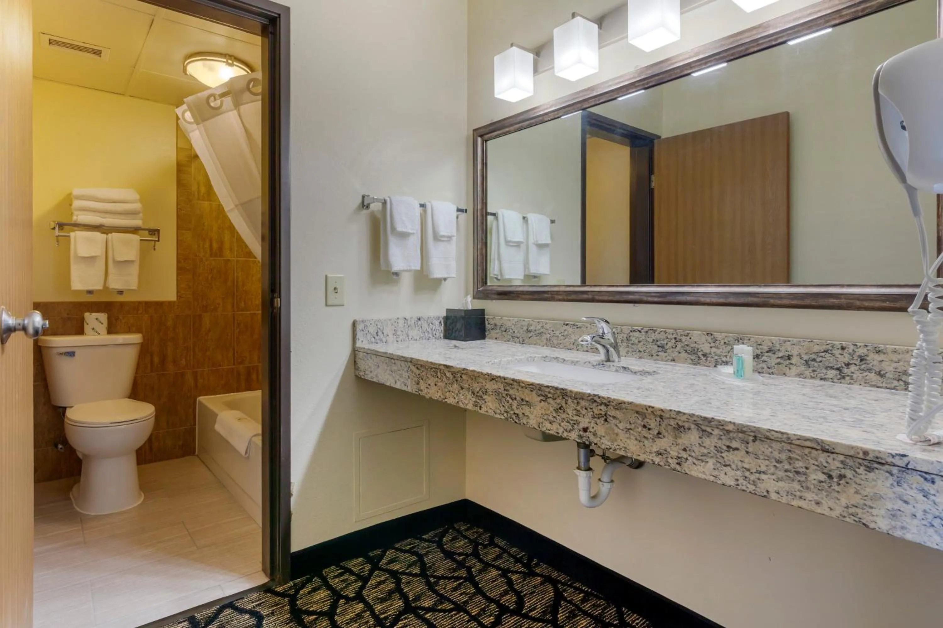 Quality Inn Oshkosh Aviation Park