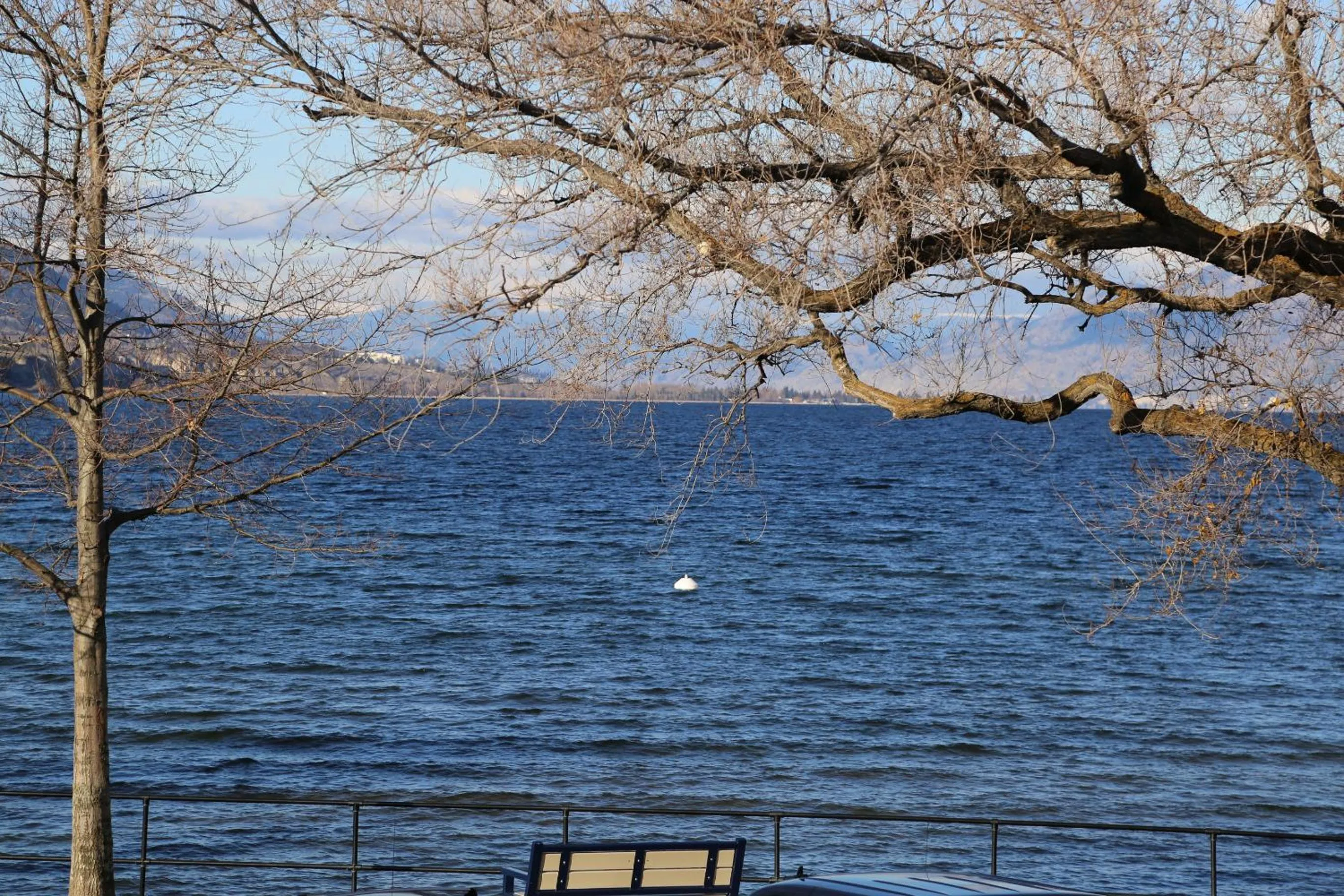 Natural landscape in SlumberLodge Hotel