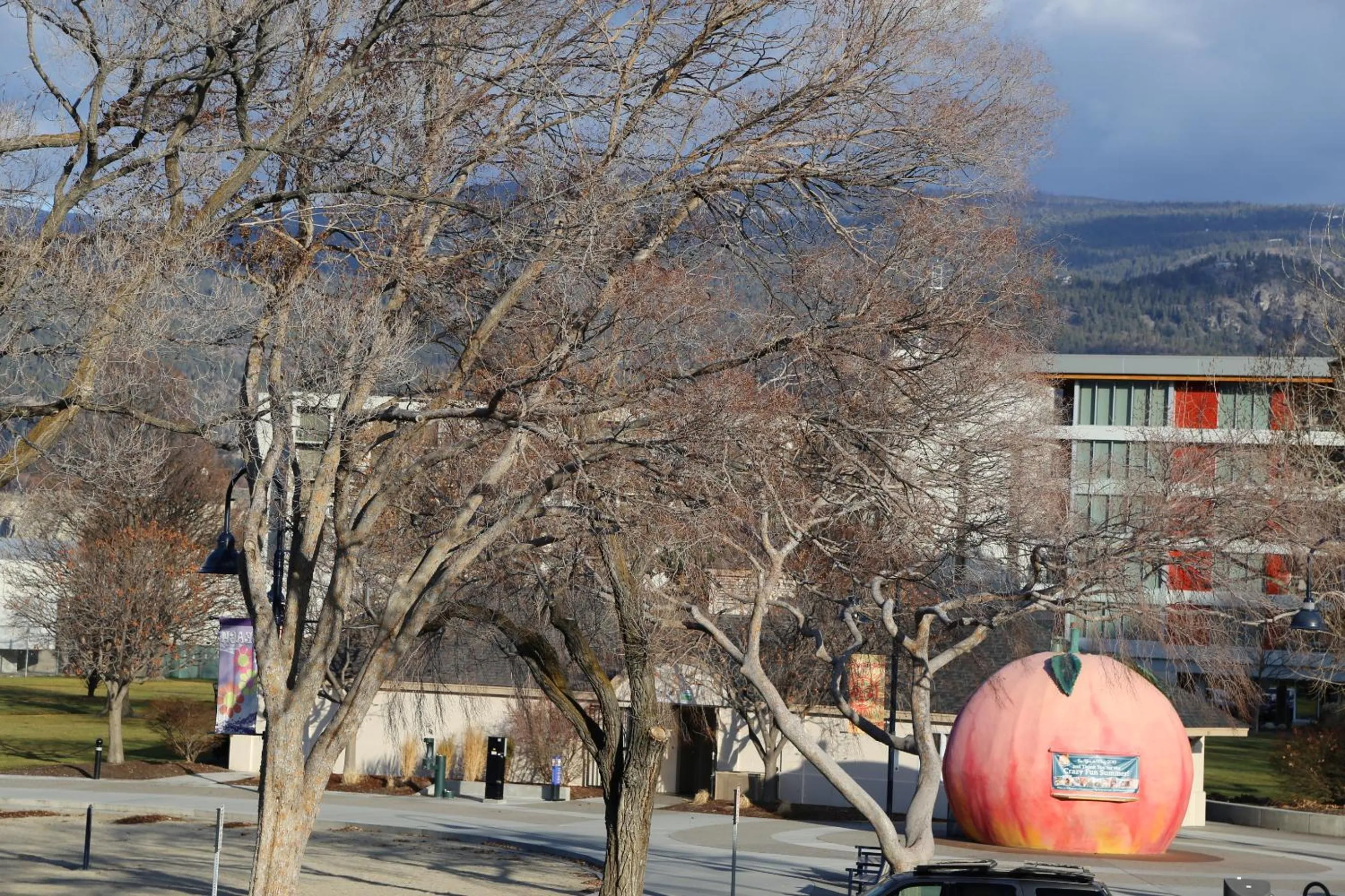 Neighbourhood in SlumberLodge Hotel