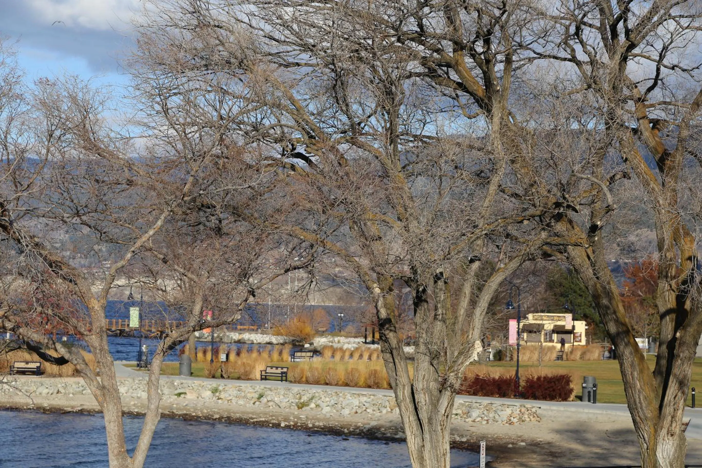 Natural landscape in SlumberLodge Hotel