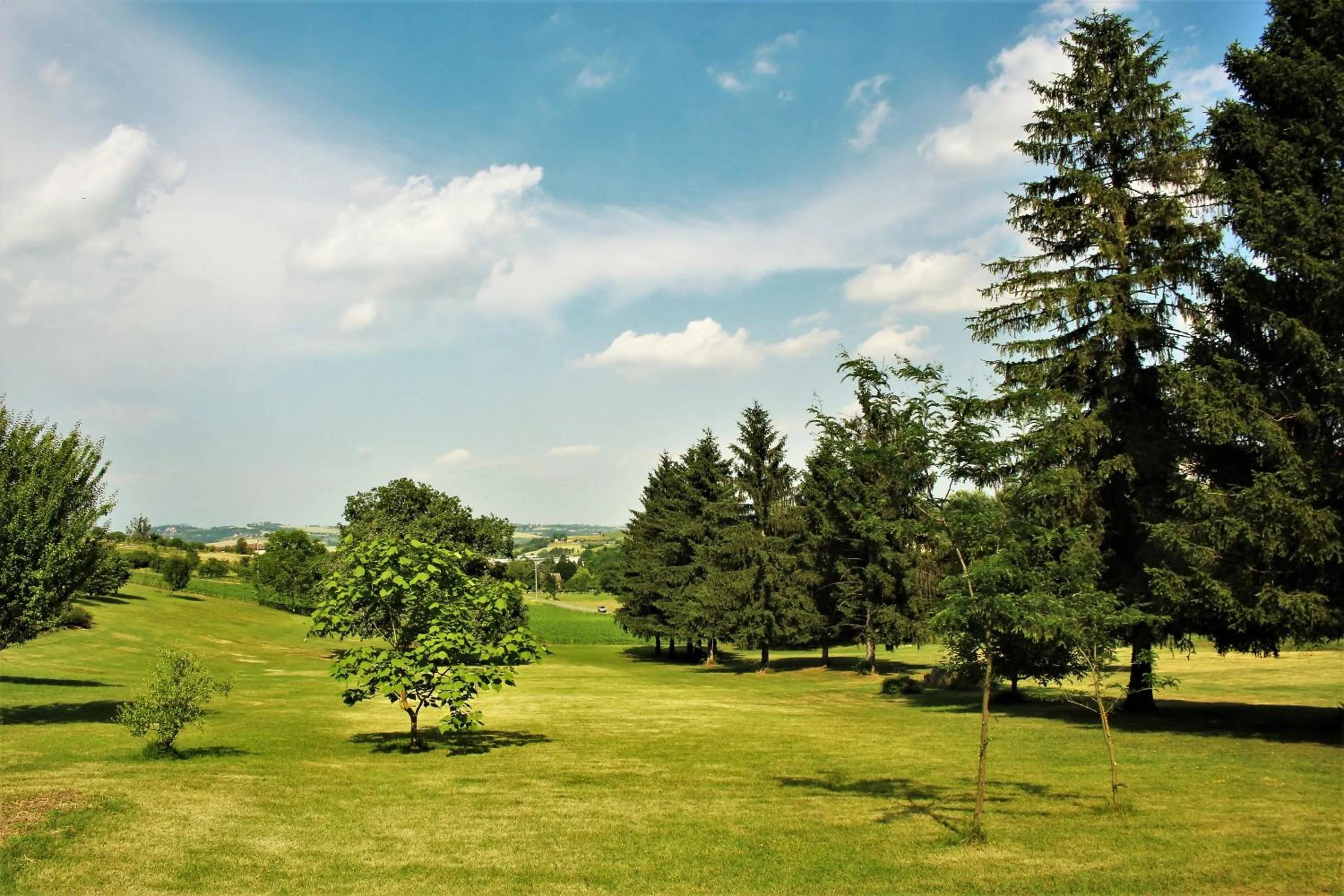 Natural landscape in Maison Petit Perlage B&B and Champagne
