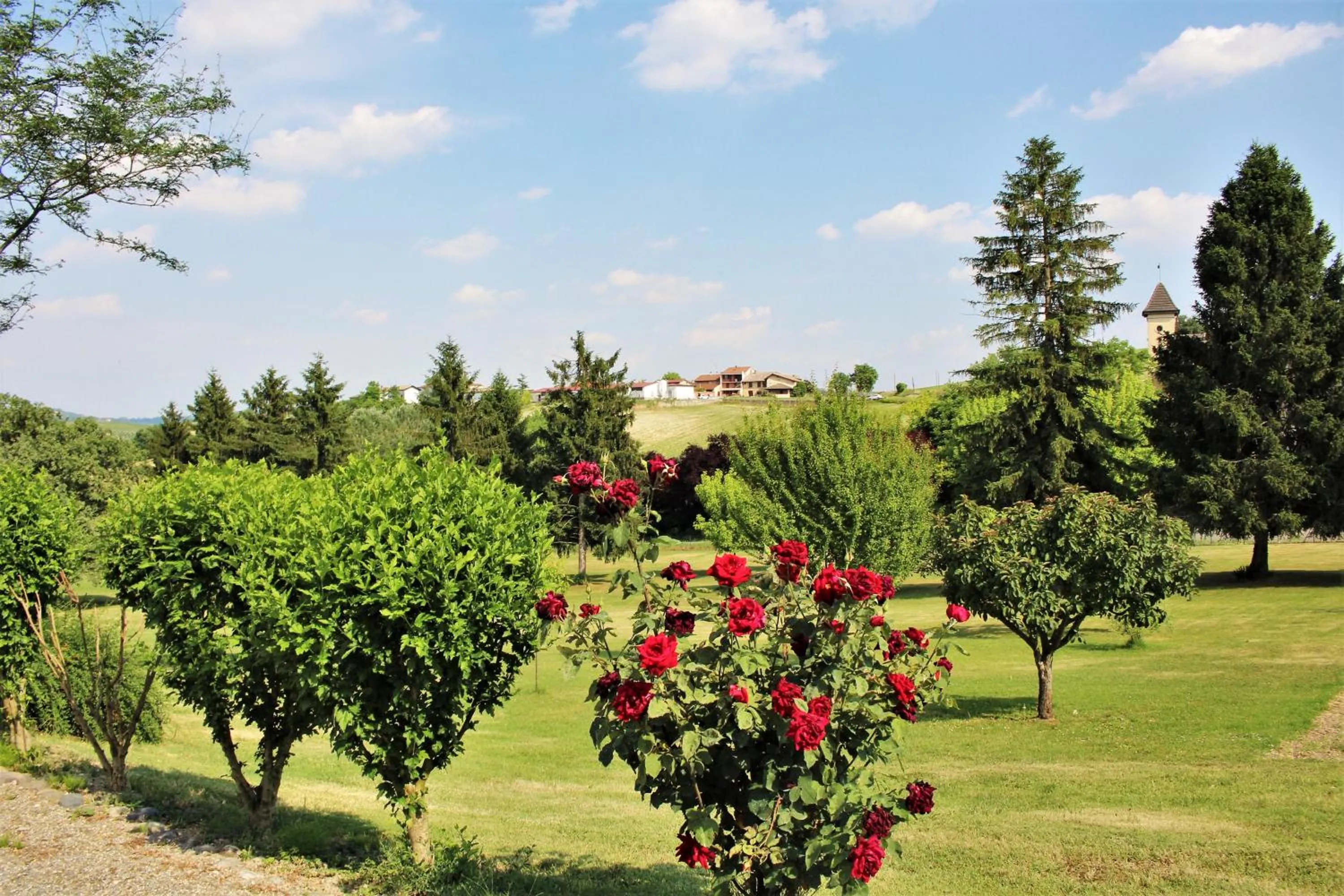 Spring in Maison Petit Perlage B&B and Champagne