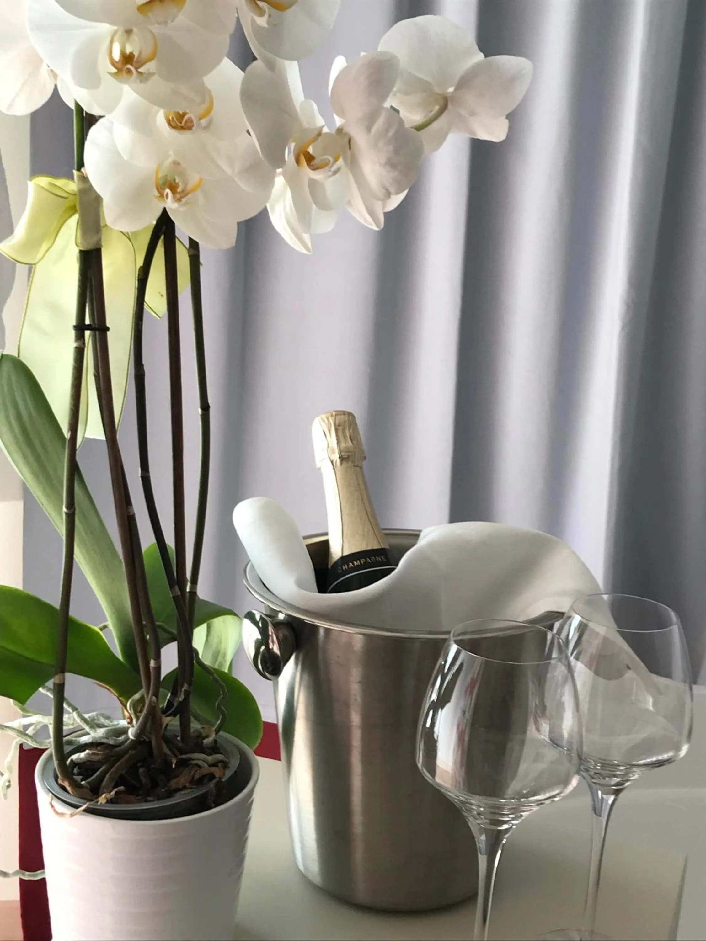 Food and drinks in Maison Petit Perlage B&B and Champagne