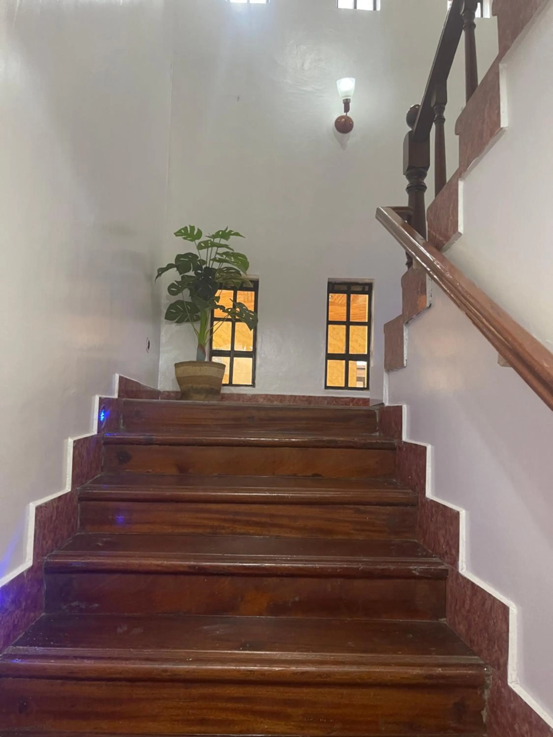 Palm Nest - Near JKIA