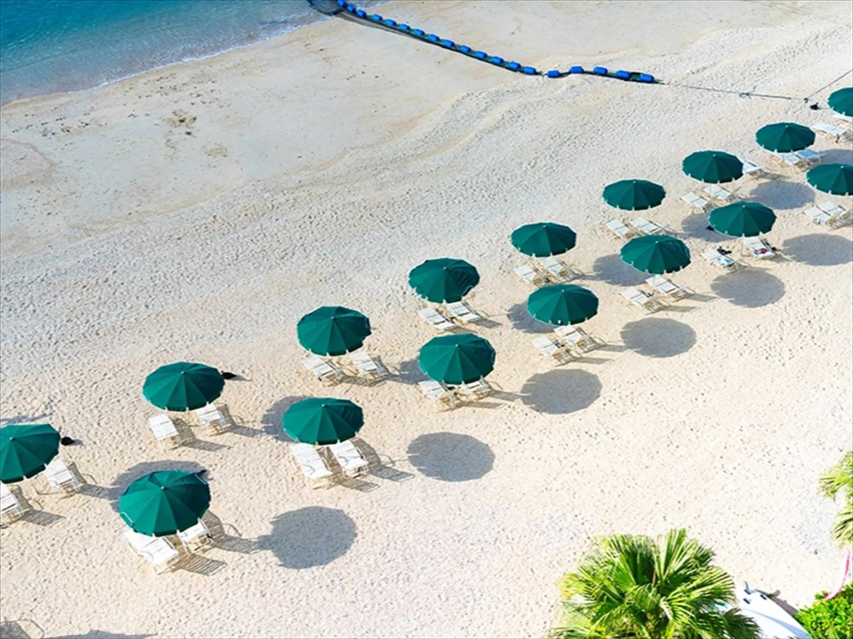 Natural landscape in Kanehide Kise Beach Palace