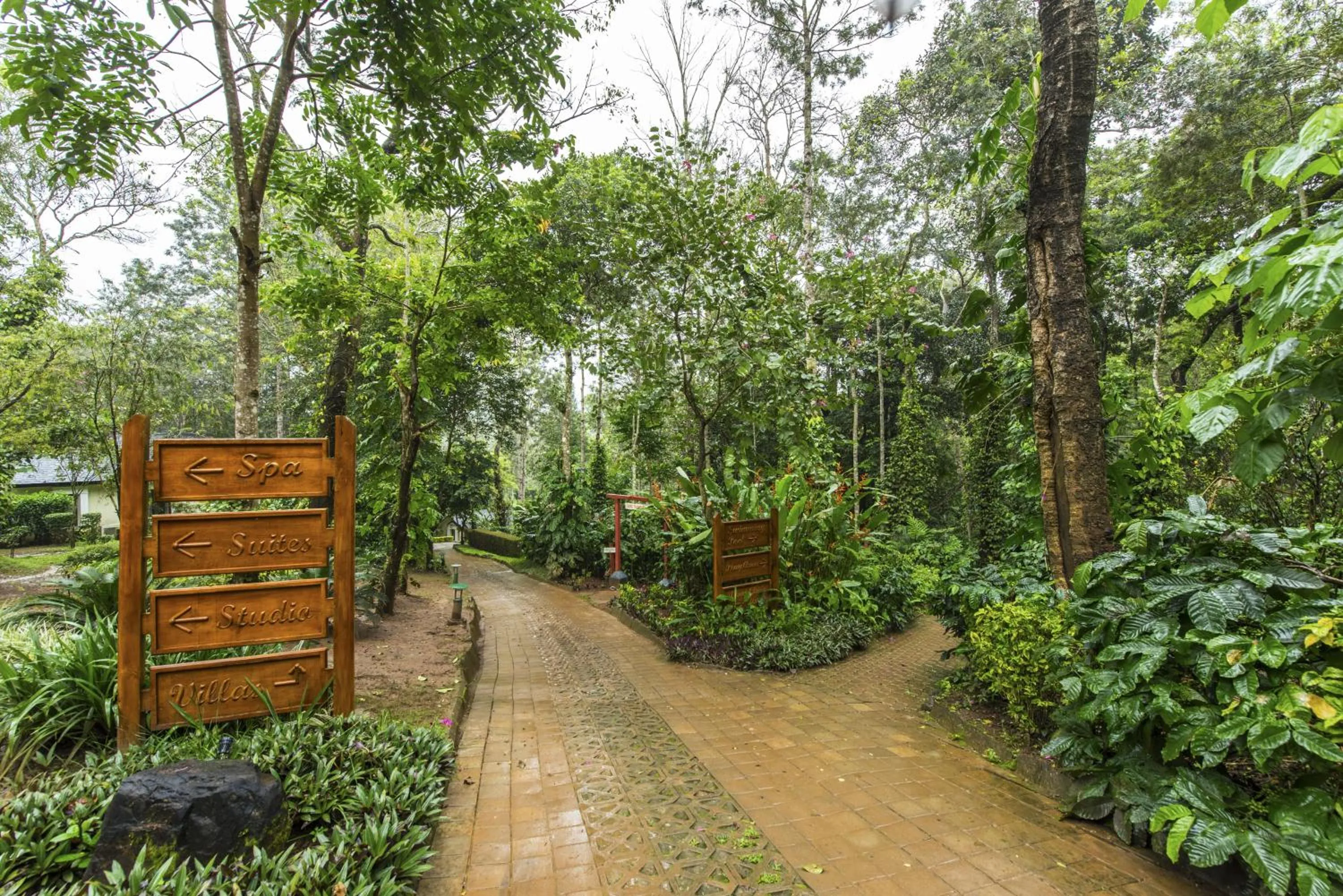 Day in The Windflower Resort & Spa, Coorg