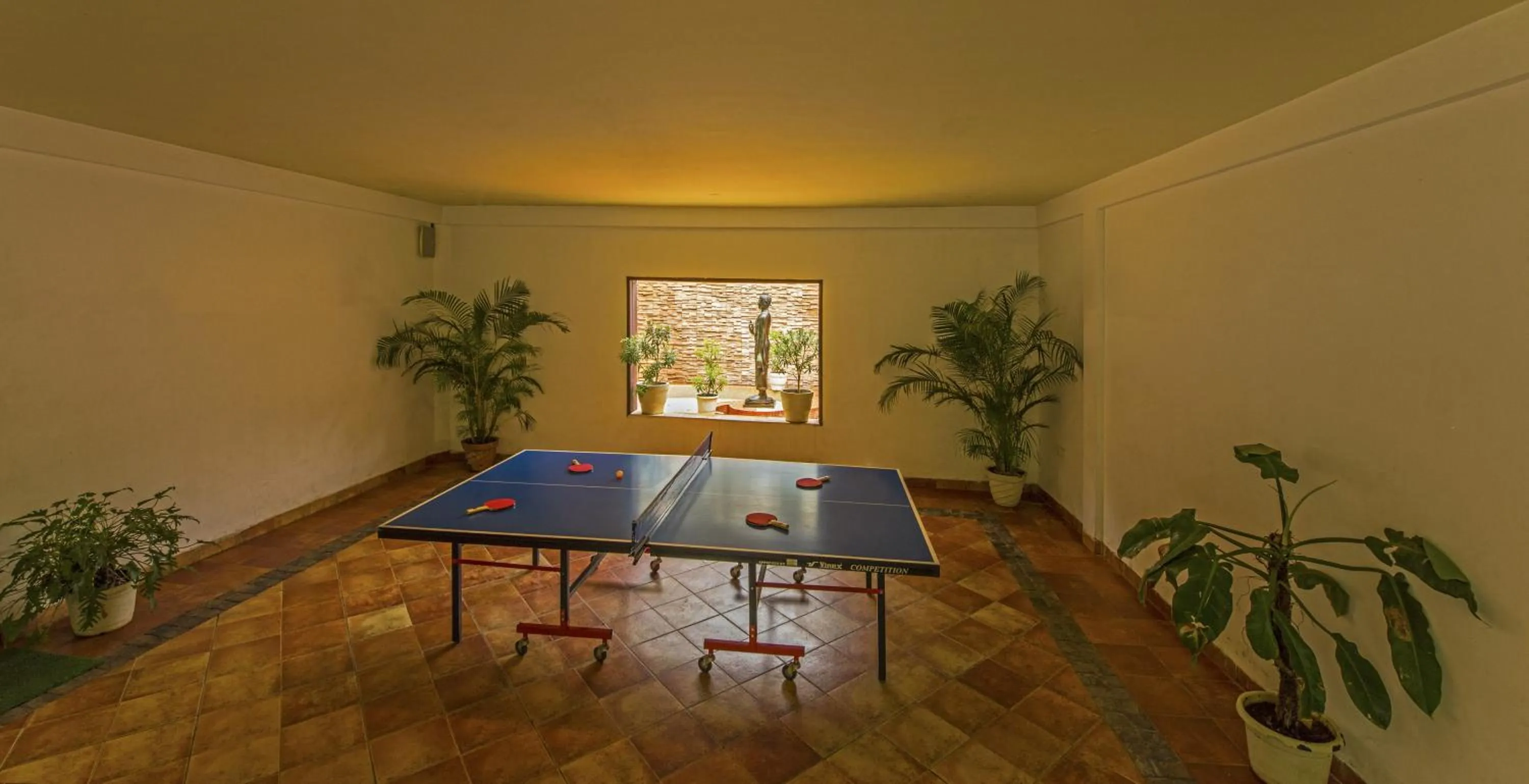 Table tennis in The Windflower Resort & Spa, Coorg