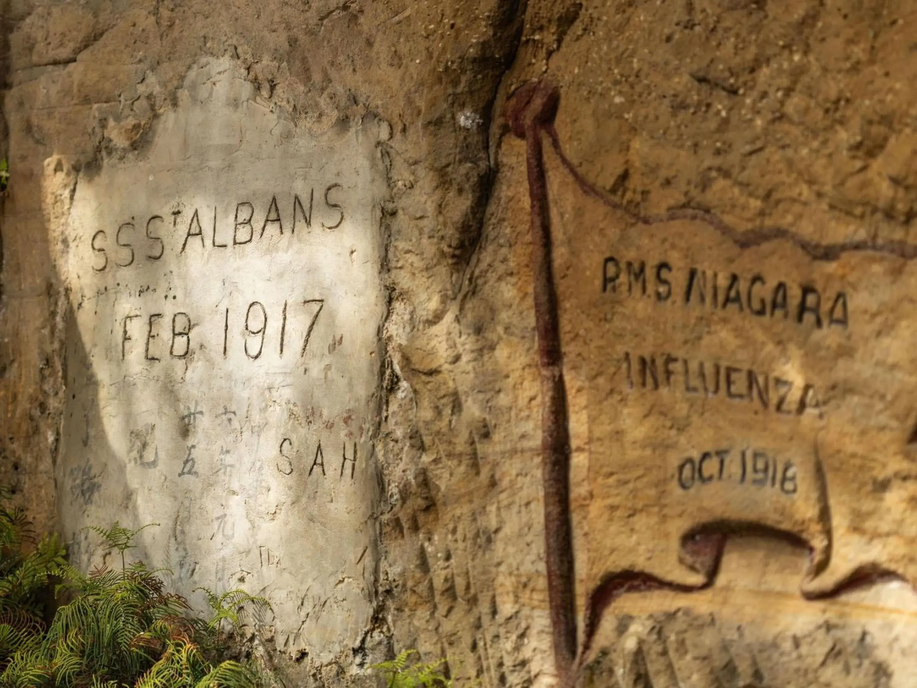 Property building in Q Station Property building in Q Station