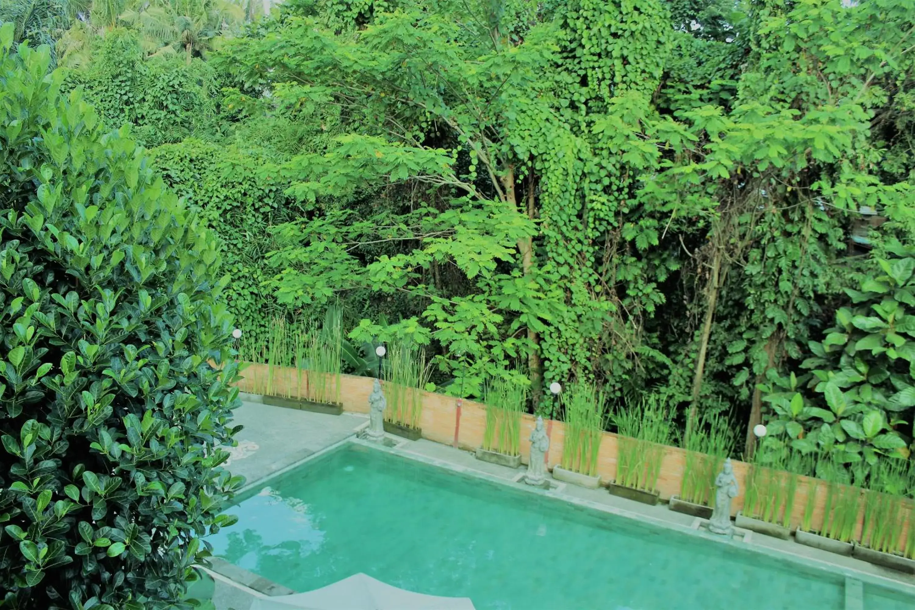 Pool view in Adi Jaya Cottages Ubud Suites by EPS - CHSE Certified Pool view in Adi Jaya Cottages Ubud Suites by EPS - CHSE Certified