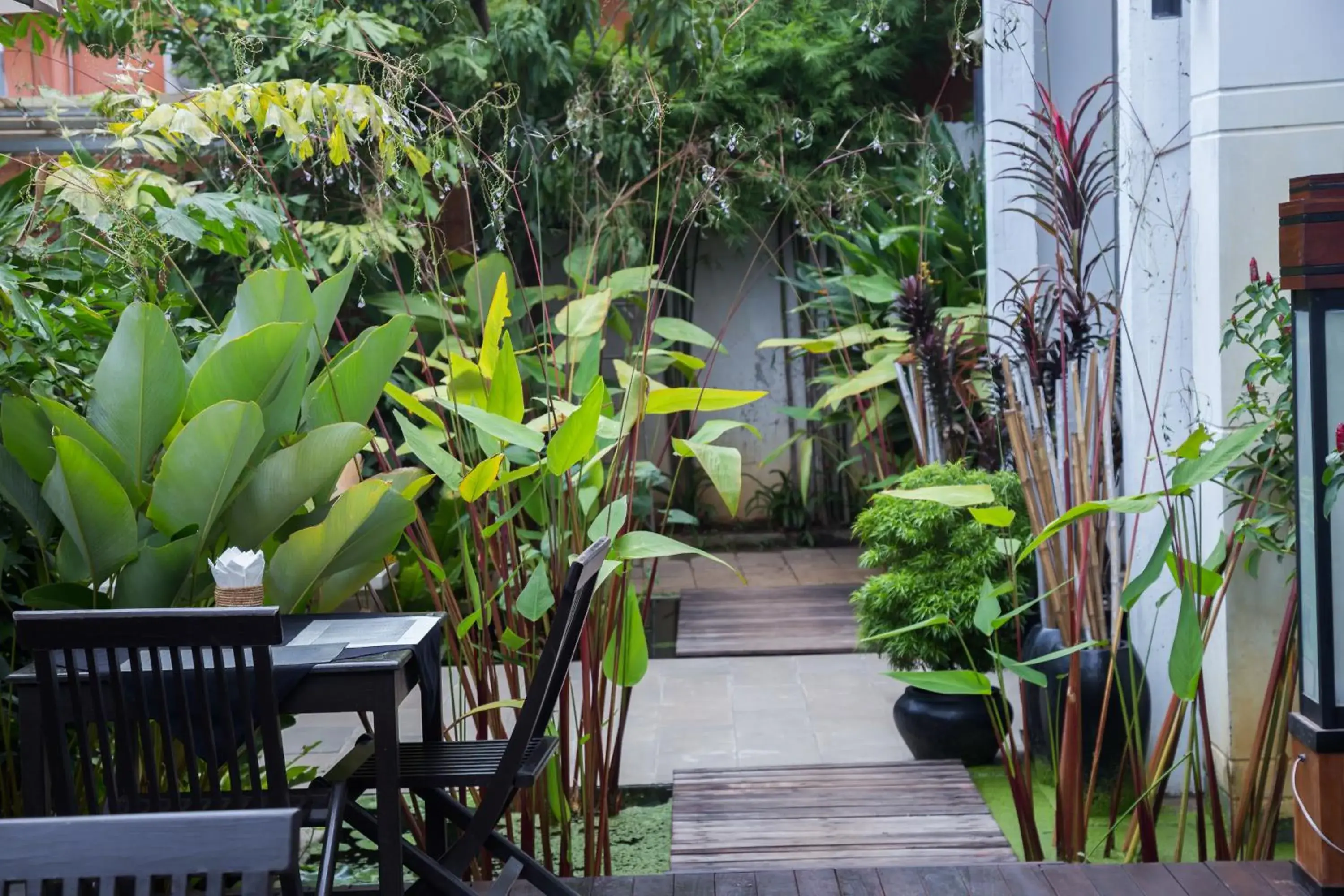 Restaurant/places to eat in Apsara Centrepole Hotel Restaurant/places to eat in Apsara Centrepole Hotel