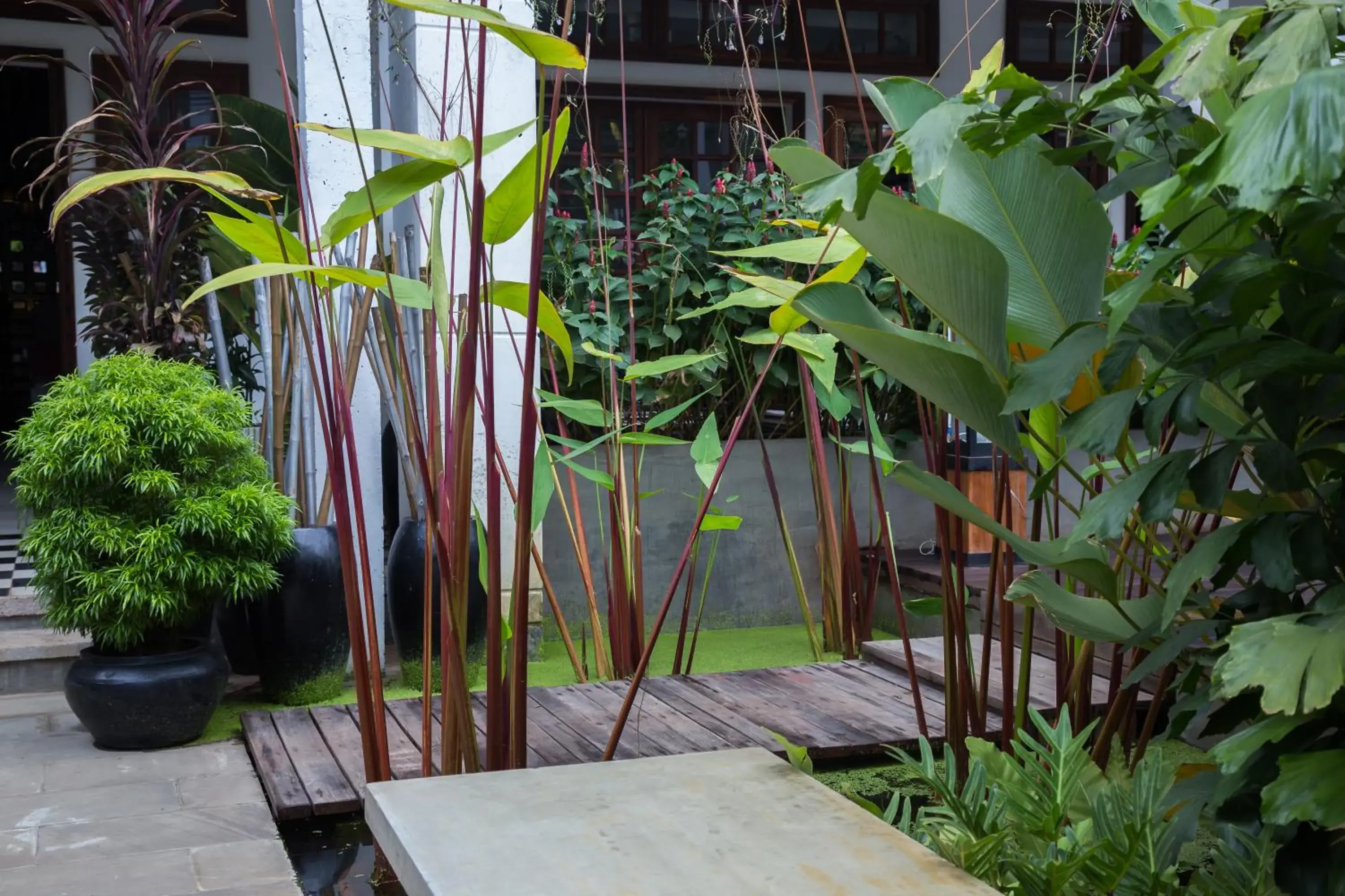 Facade/entrance in Apsara Centrepole Hotel Facade/entrance in Apsara Centrepole Hotel