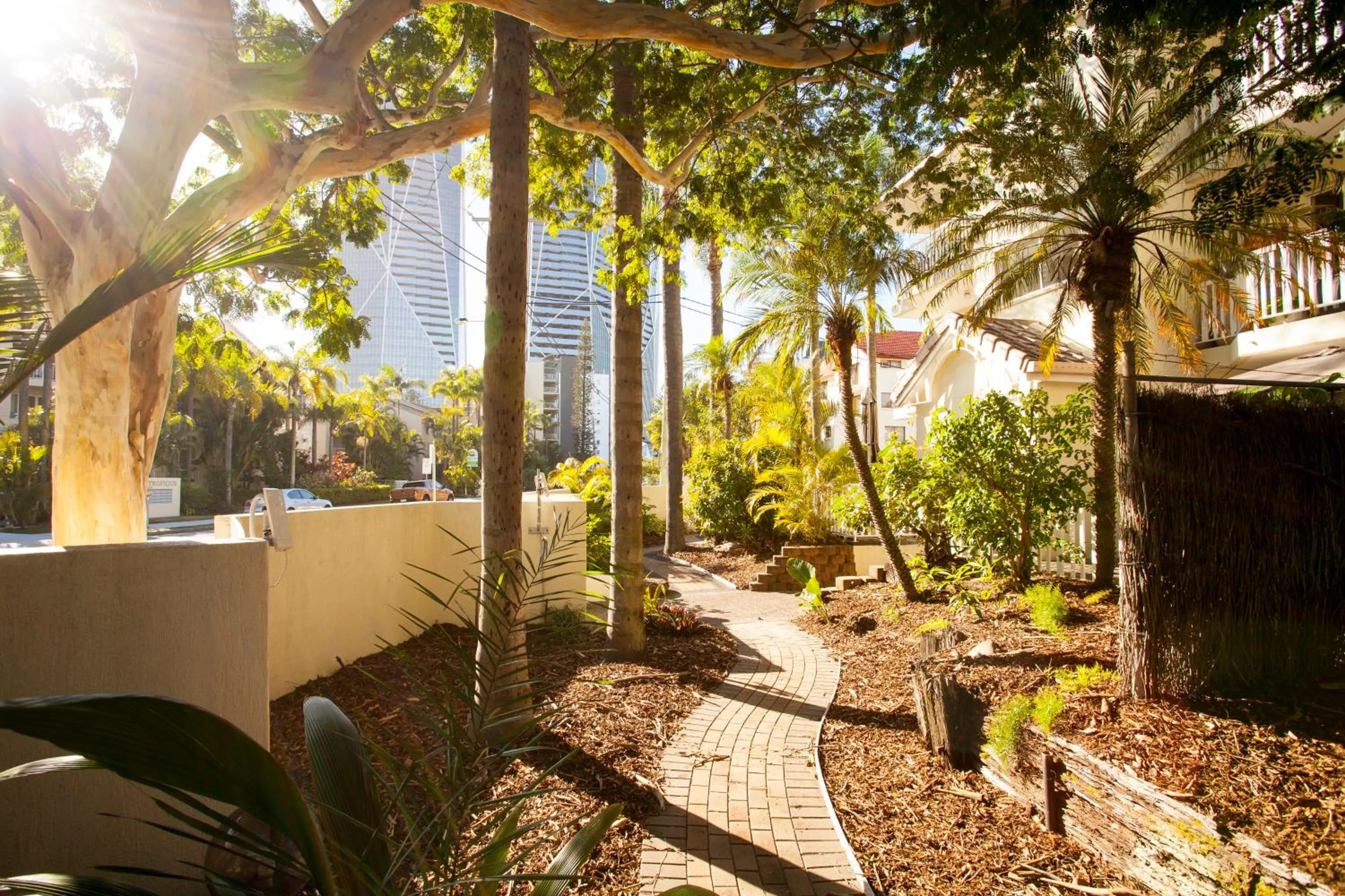 Garden in Surfers Tradewinds