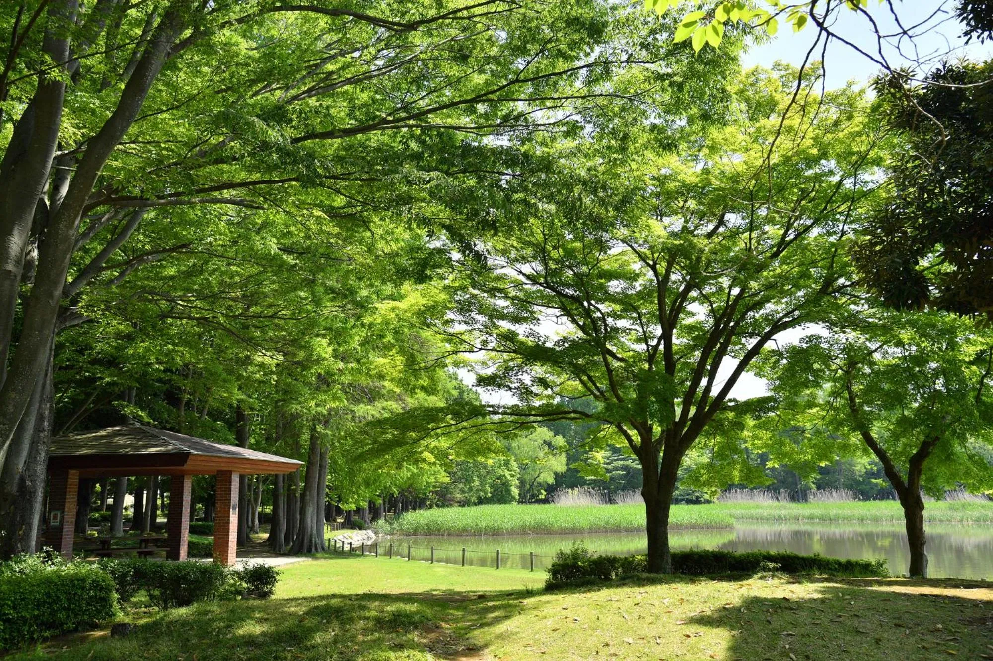 Nearby landmark in Tabist Tsukuba Sky Hotel