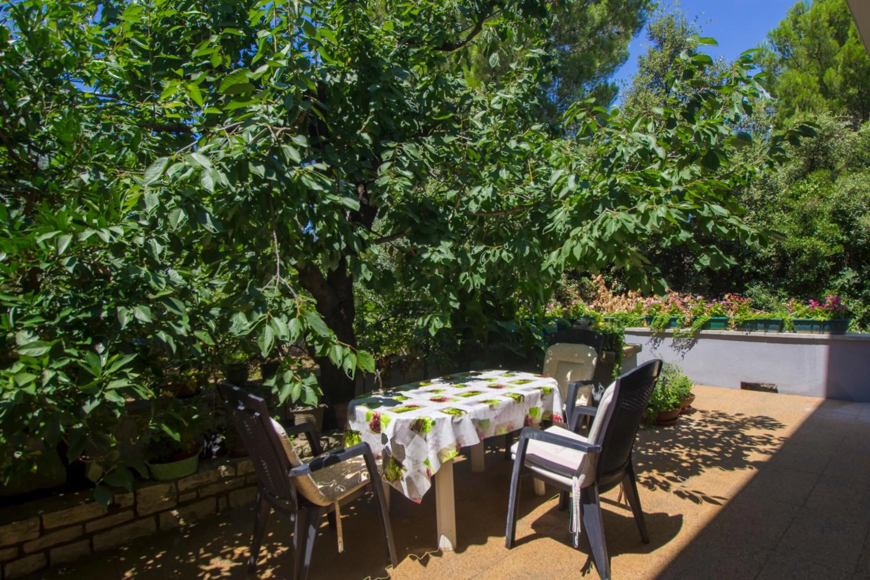 Garden in Villa Milena