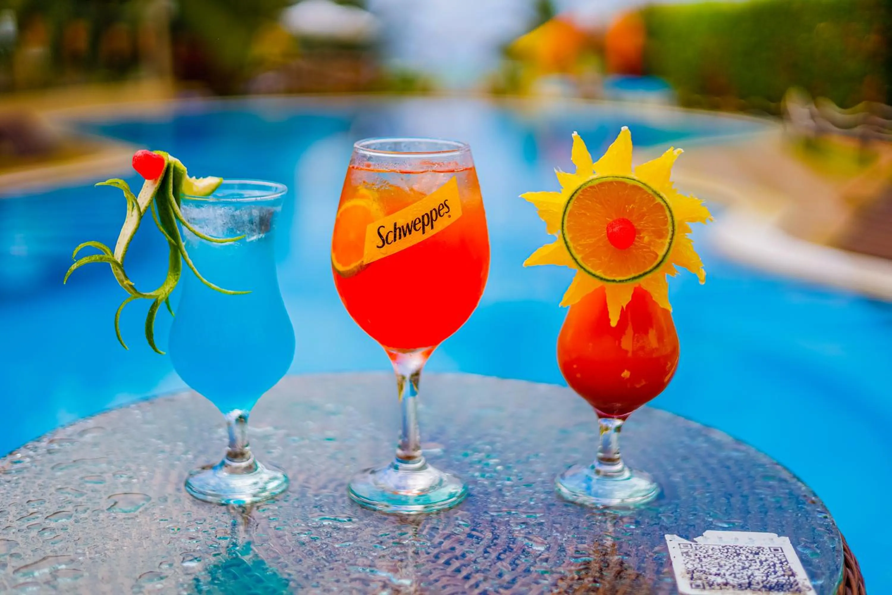 Lounge or bar in Pousada Polymar