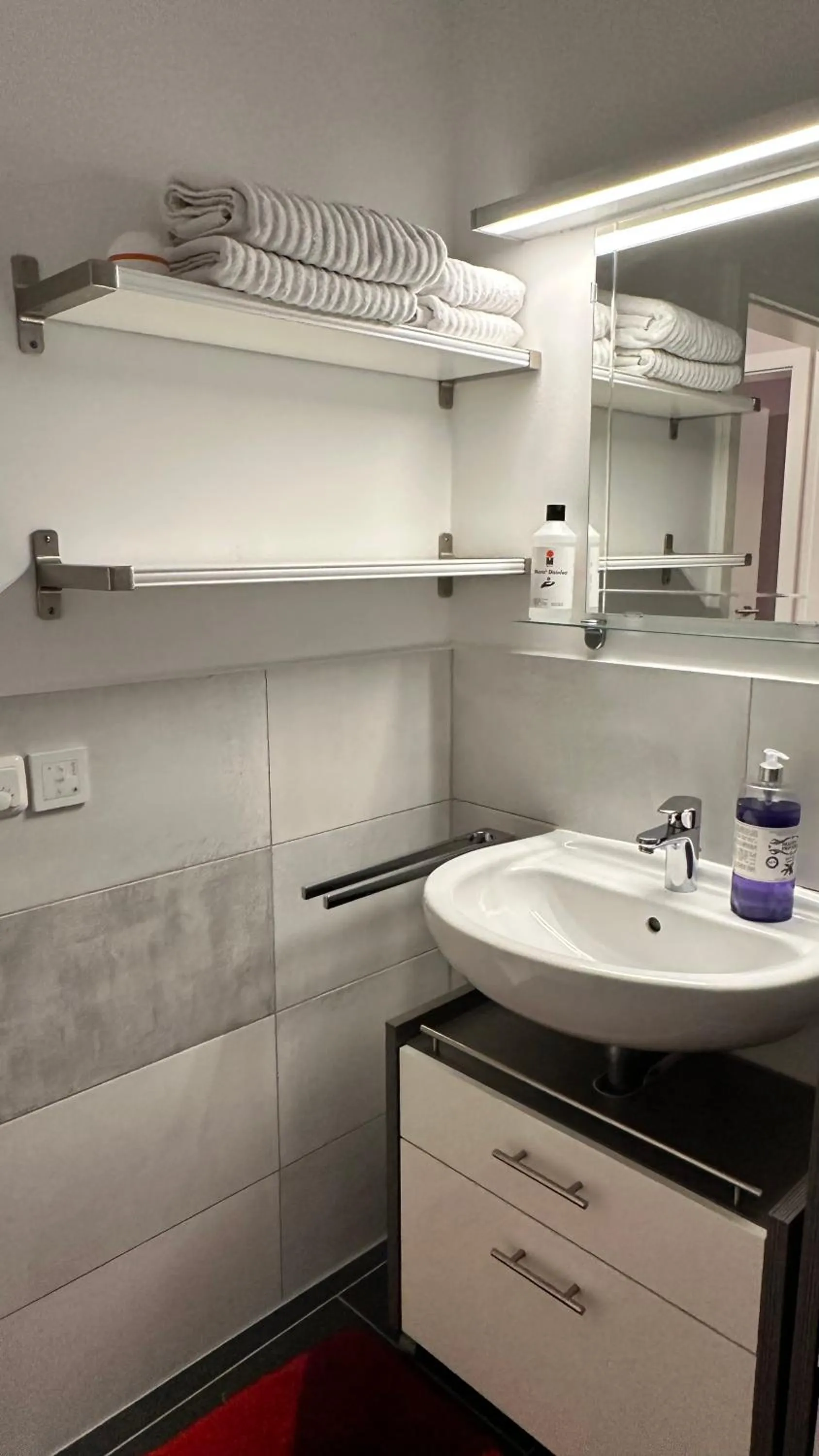 Bathroom in Moderne Wohnung im Rhein-Main-Gebiet