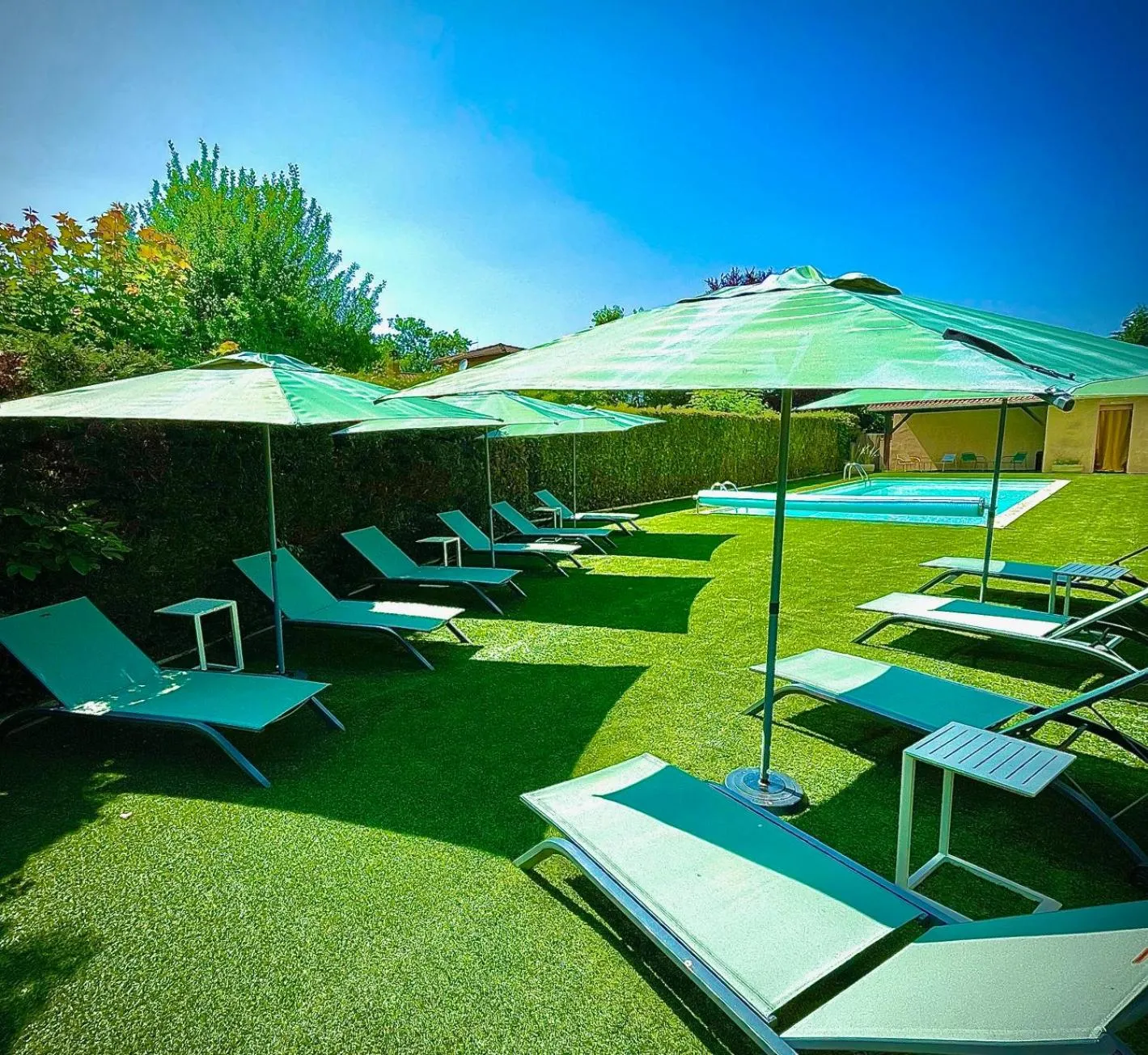 Swimming pool in Le Mont Brouilly