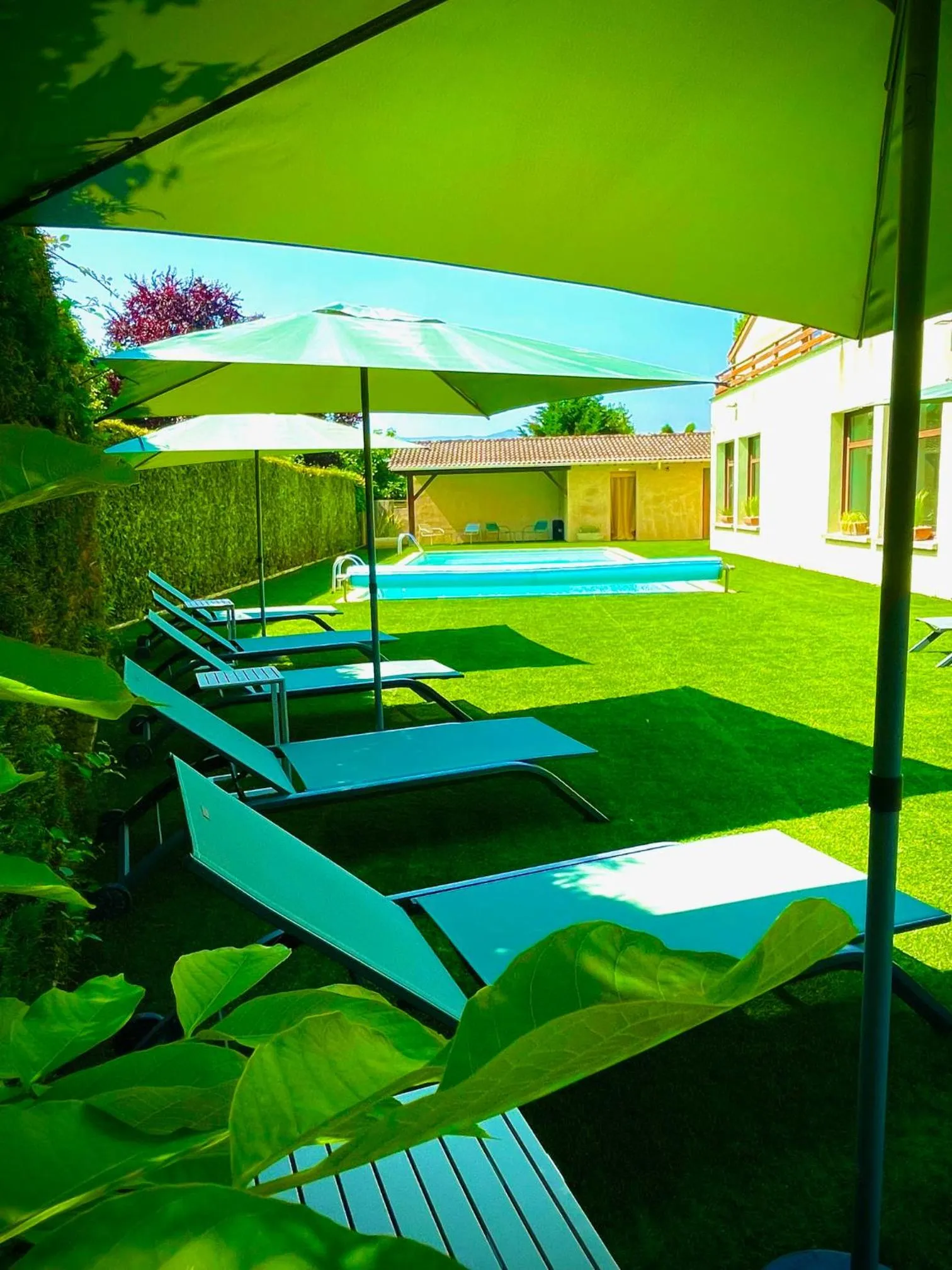 Swimming pool in Le Mont Brouilly