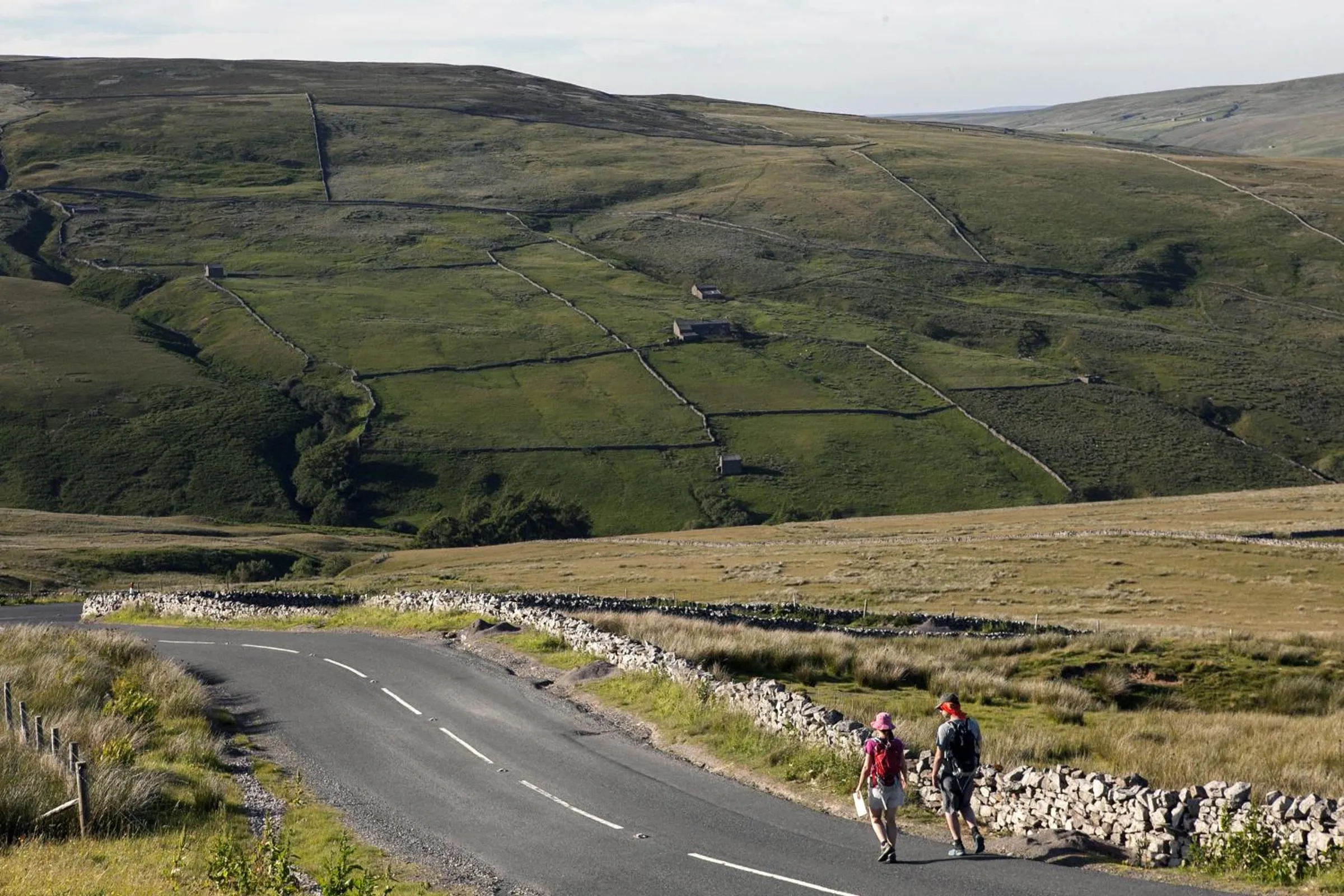 Natural landscape in YHA Hawes