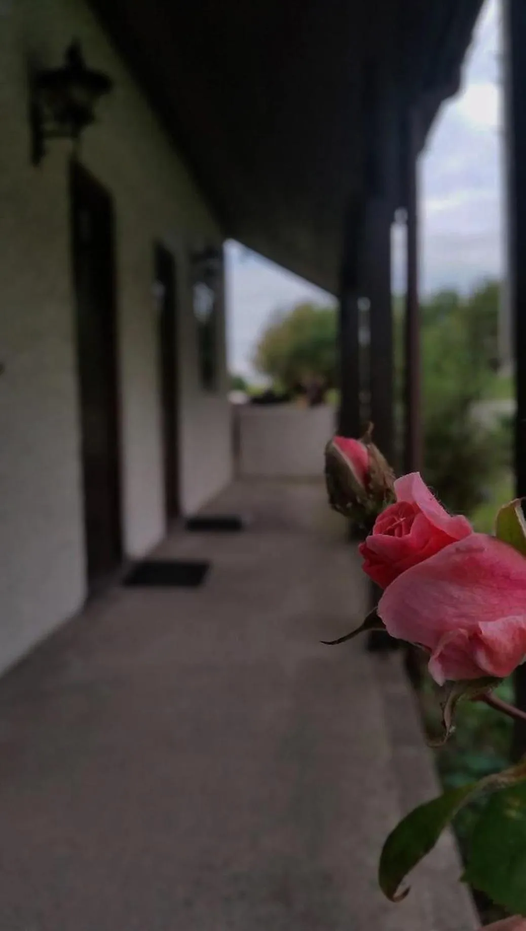 Property building in Miltons Country Lodge