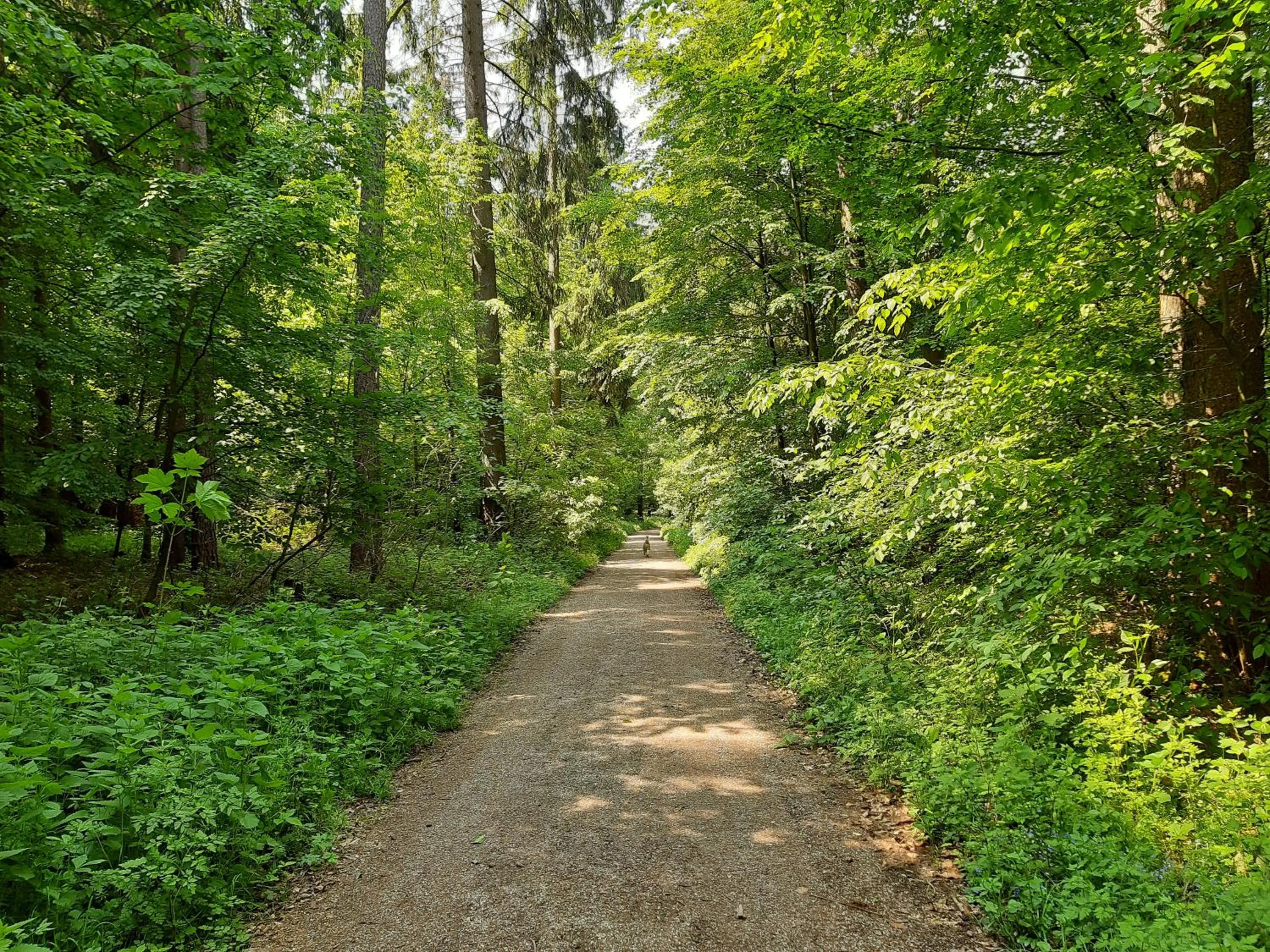 Natural landscape in Rossano Boutique Hotel & Ristorante