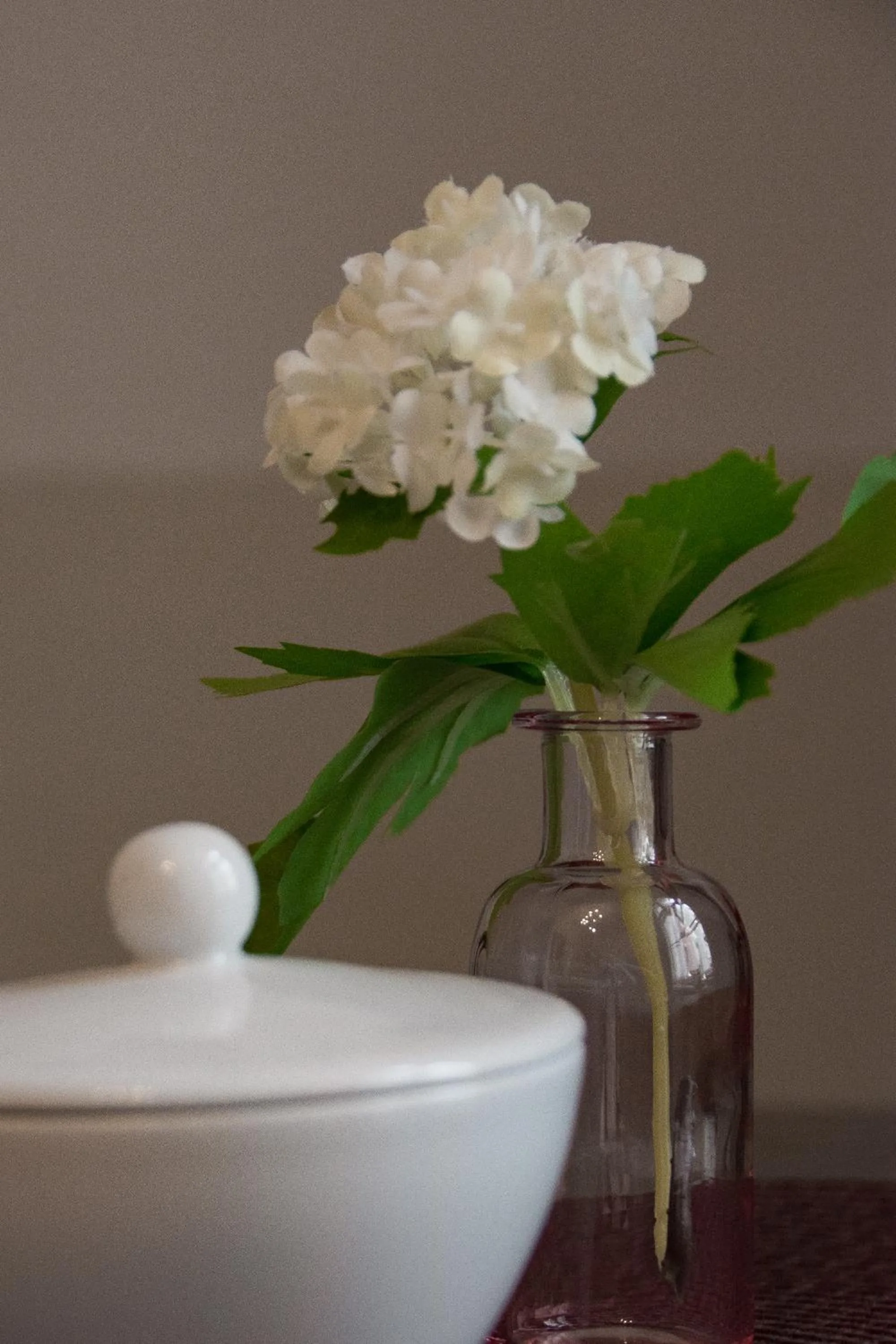 Decorative detail in Aparthotel Nowy Świat 28