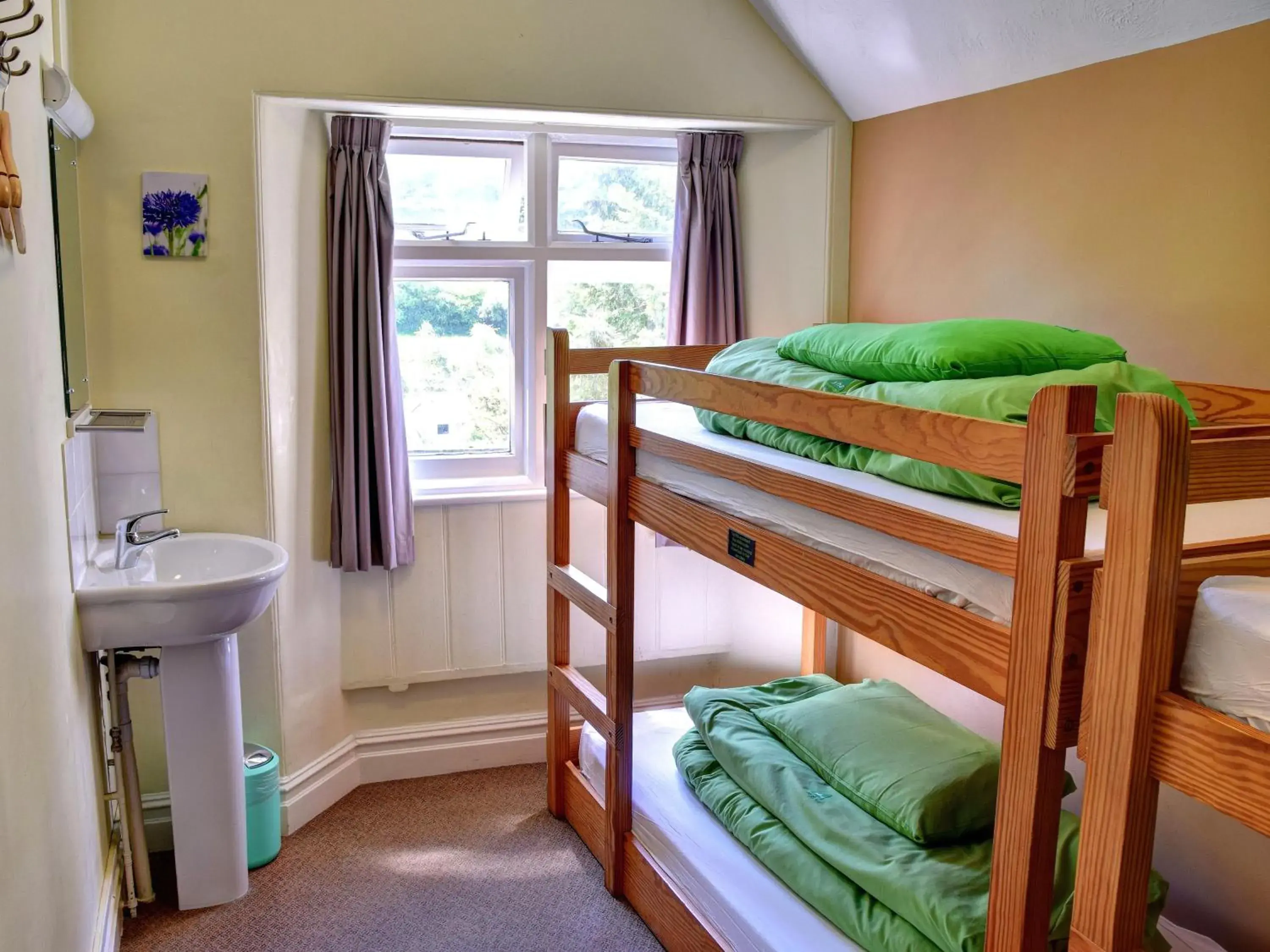 Bedroom, Bed in YHA Beer Bedroom, Bed in YHA Beer