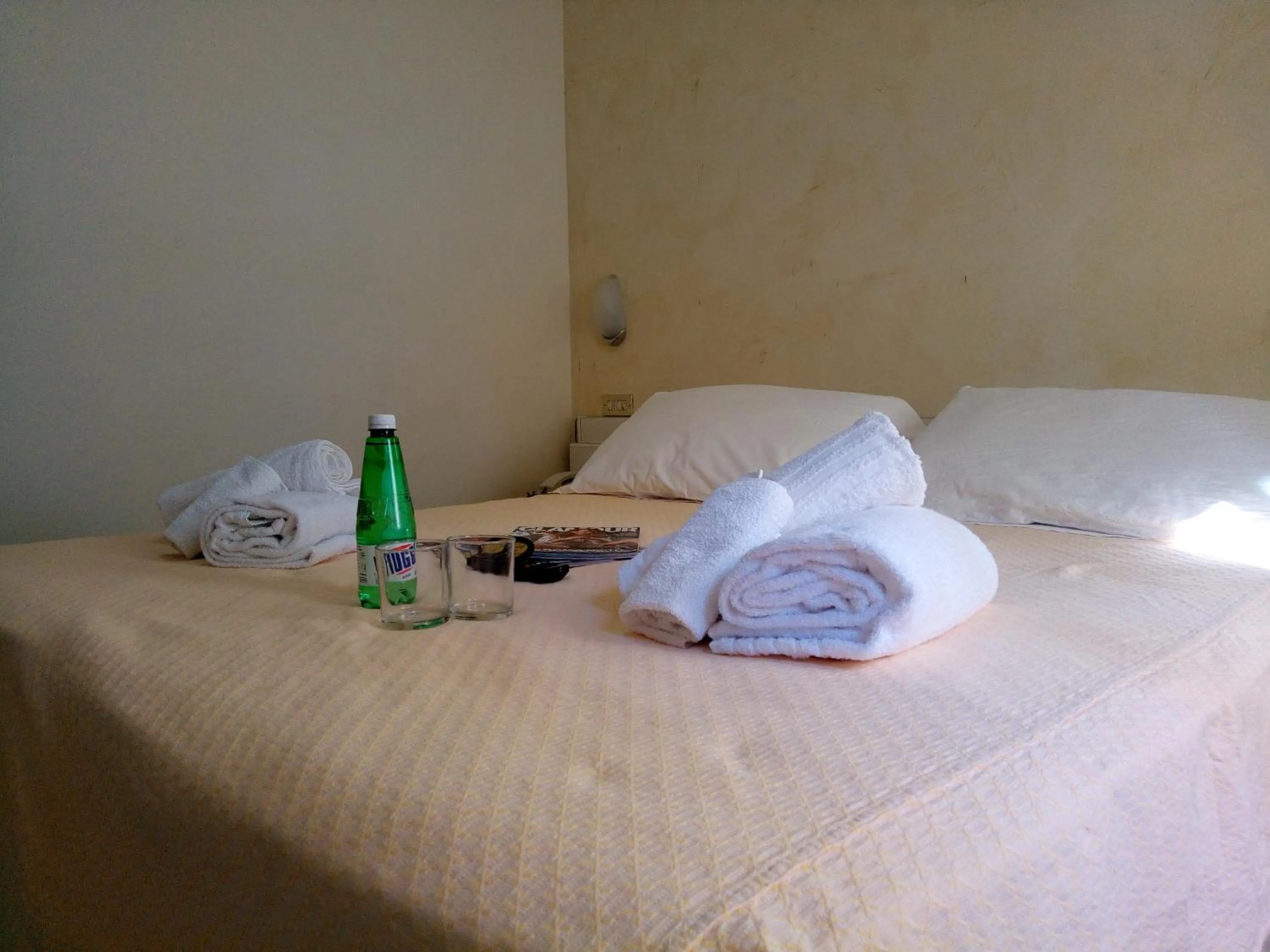 Bed in Hotel Fleming