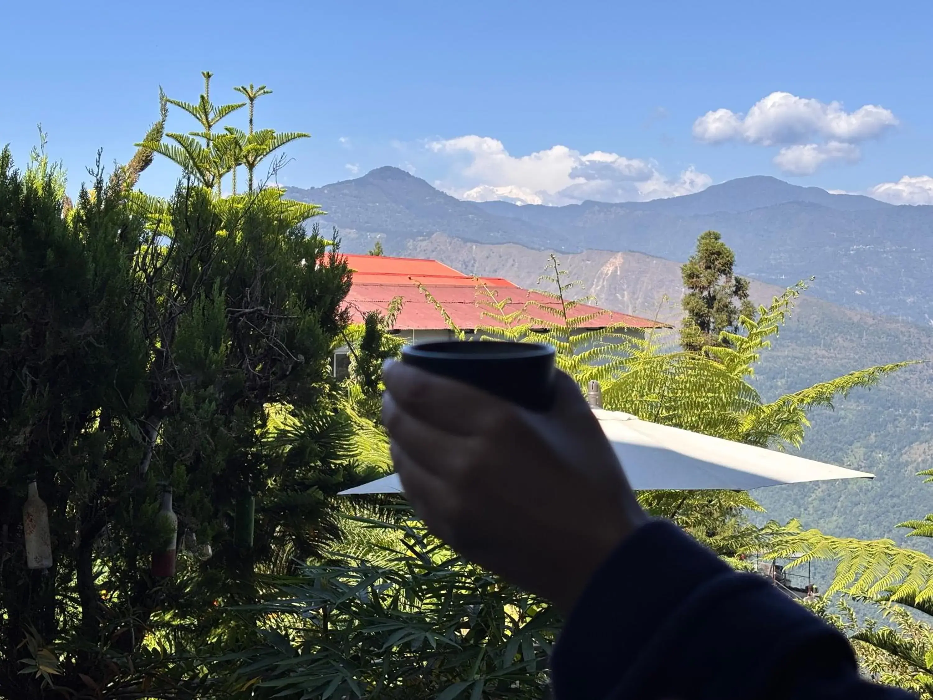 Mountain view in Sood's Himalayan Vista Mountain view in Sood's Himalayan Vista