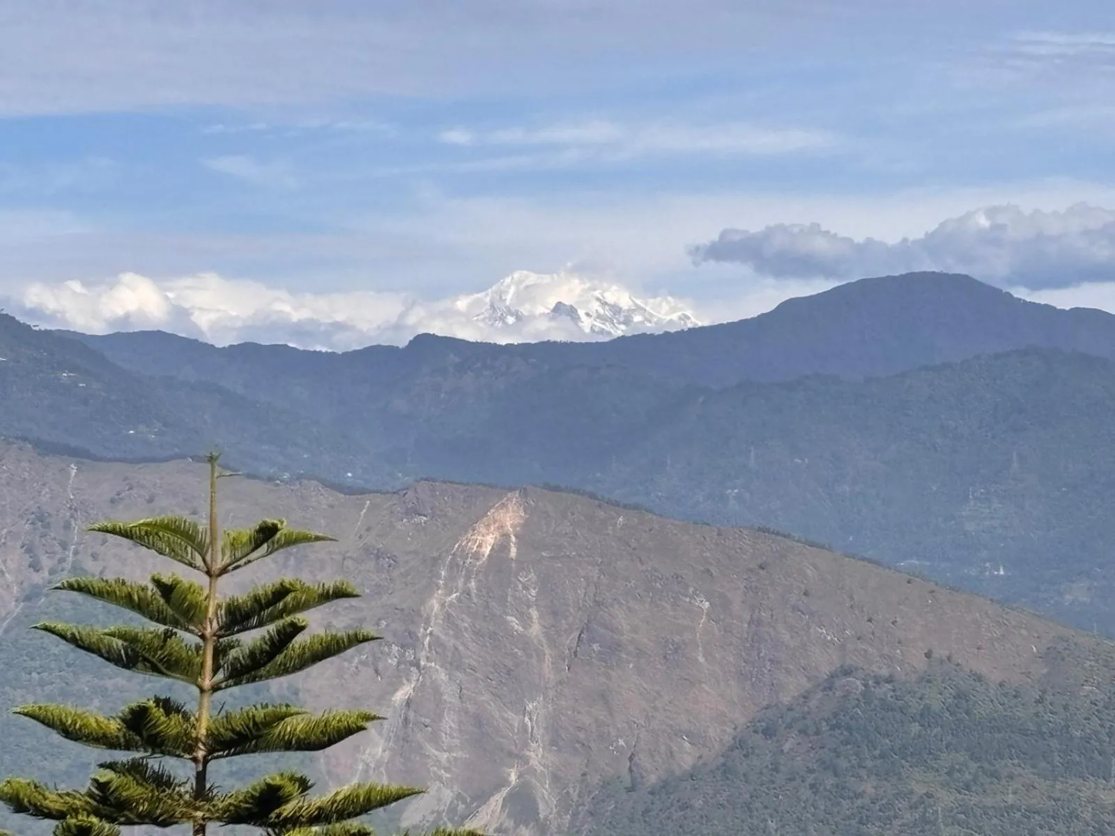 View (from property/room) in Sood's Himalayan Vista