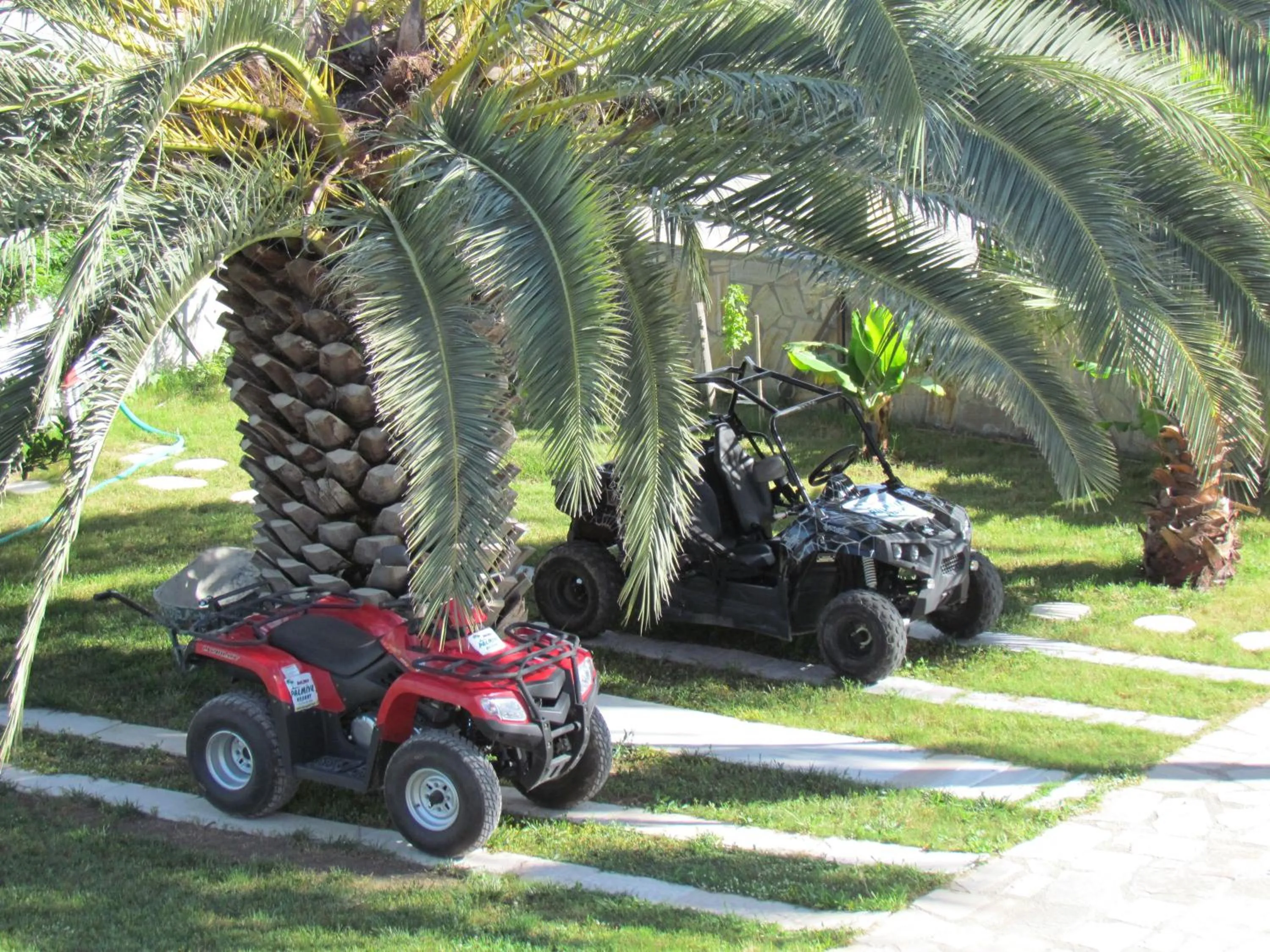 Area and facilities in Dalyan Palmiye Resort Hotel