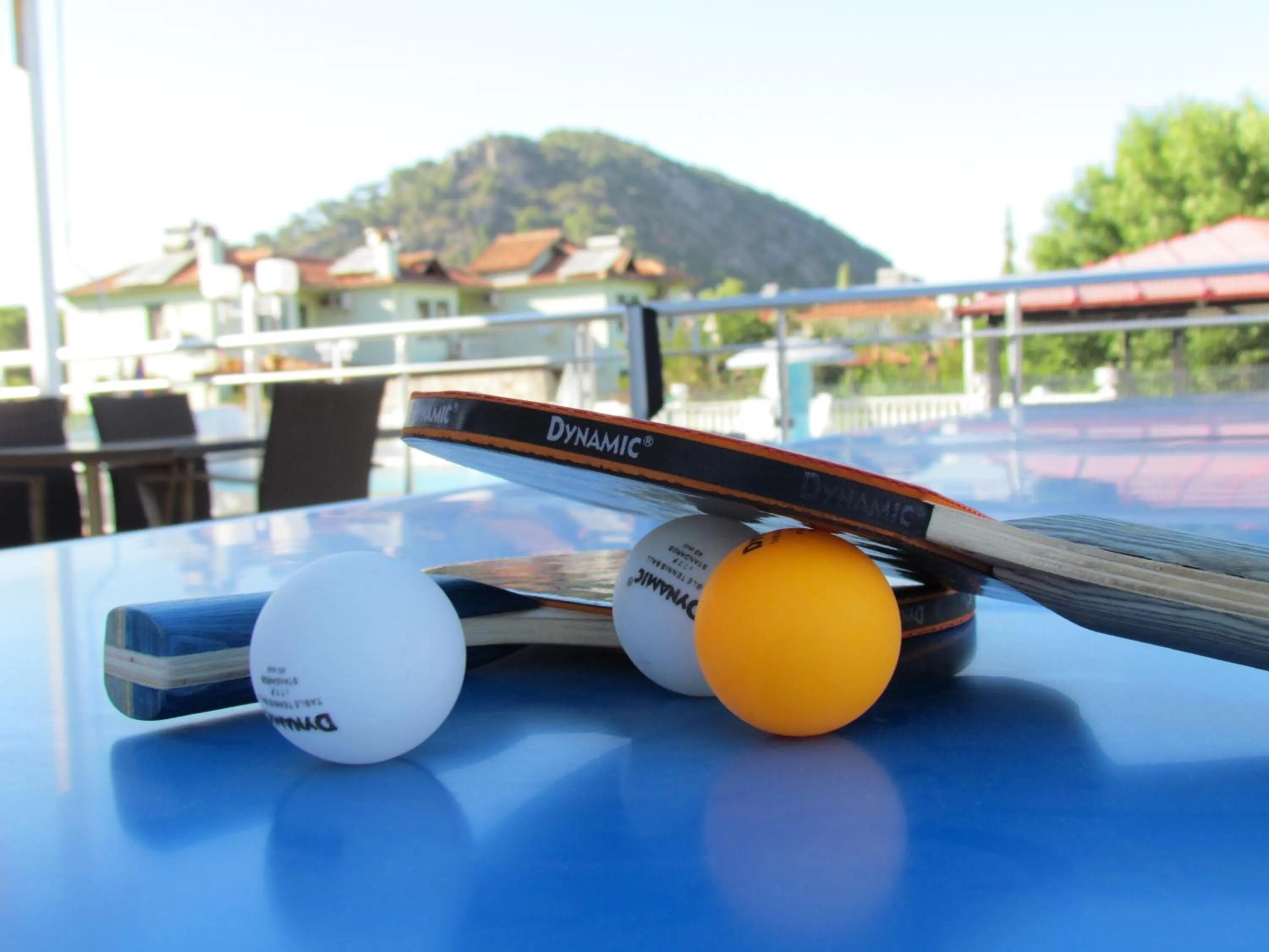 Table tennis in Dalyan Palmiye Resort Hotel