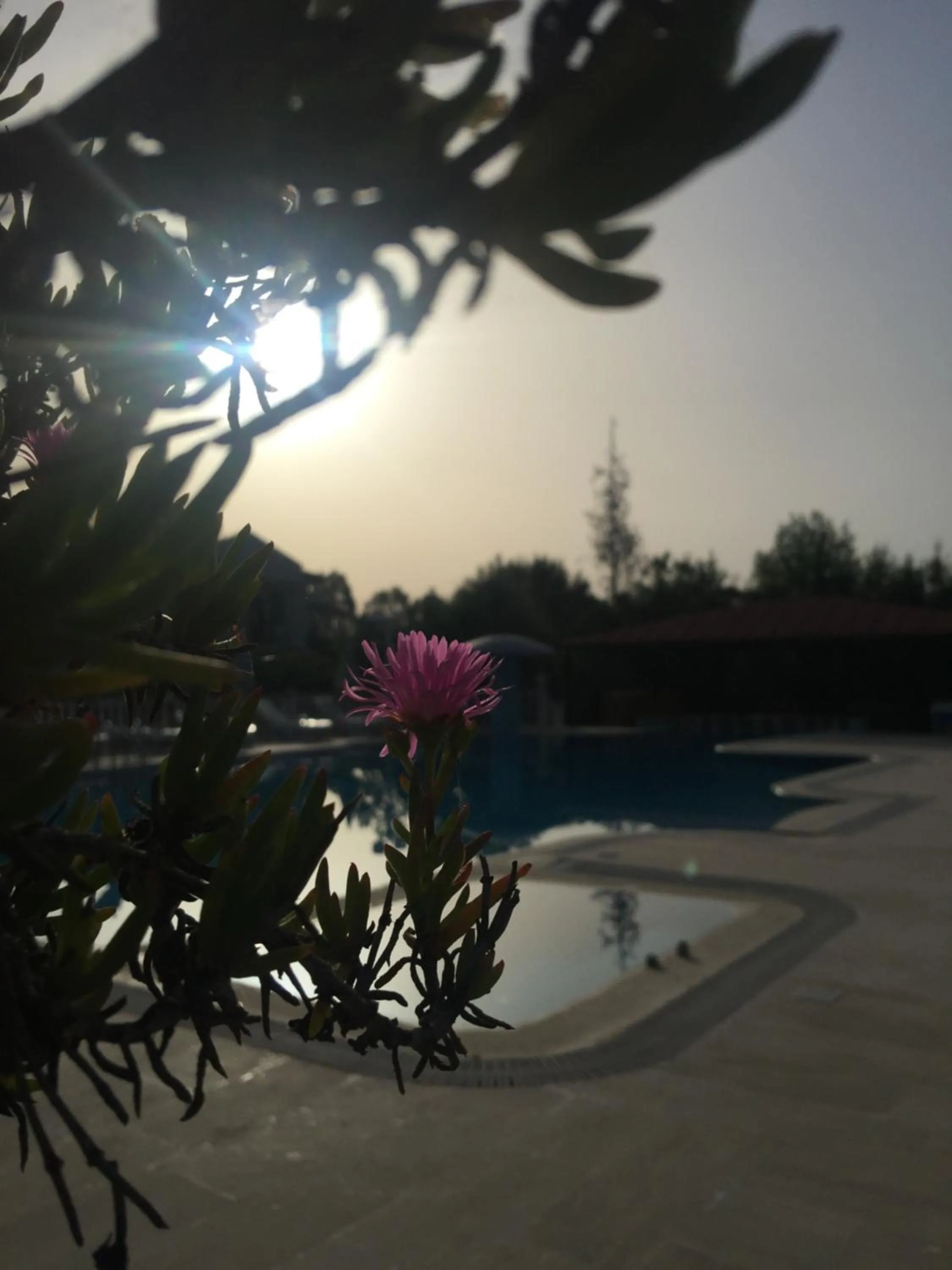 Swimming pool in Dalyan Palmiye Resort Hotel