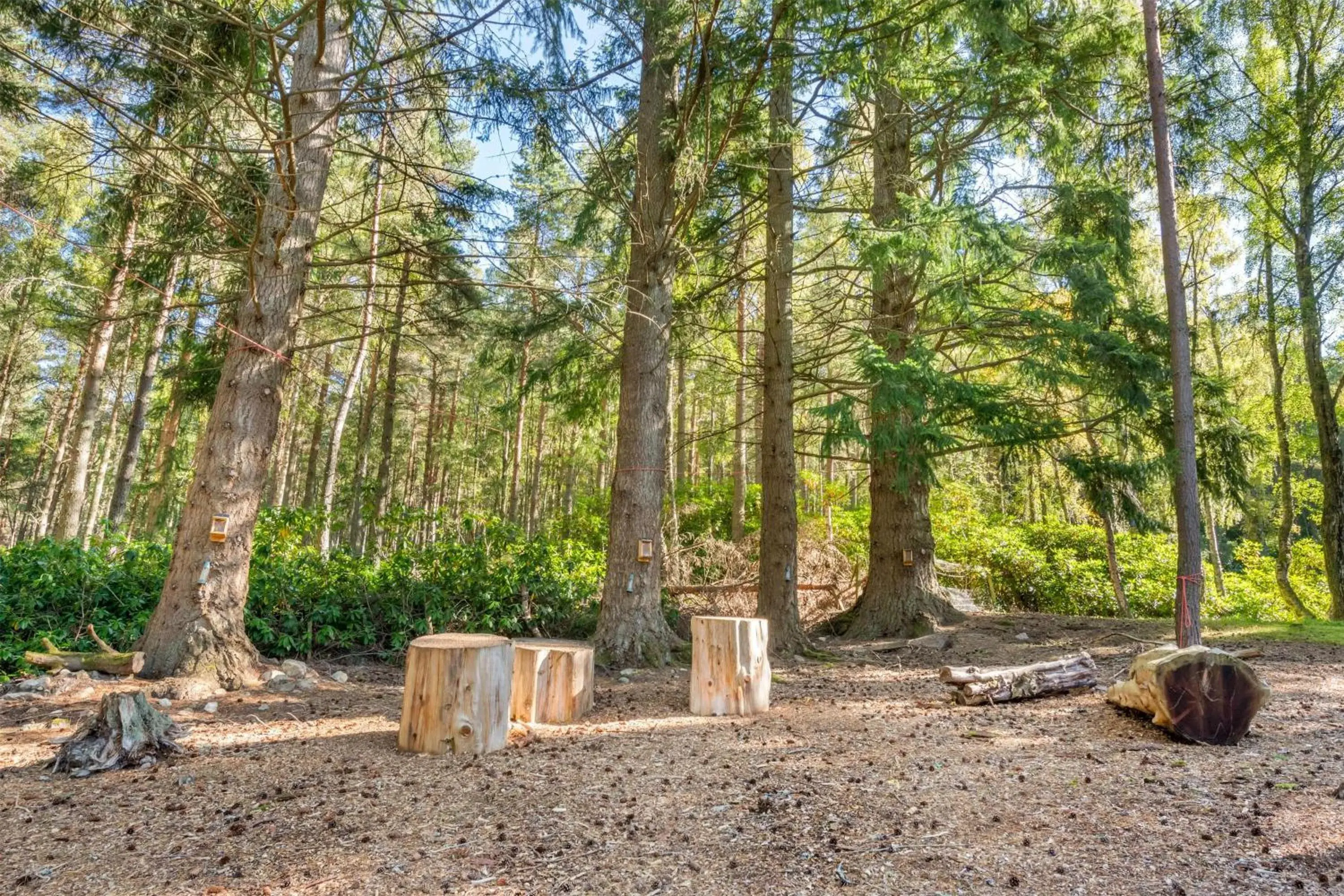 Property building in Hilton Grand Vacations Club Craigendarroch Suites Scotland Property building in Hilton Grand Vacations Club Craigendarroch Suites Scotland