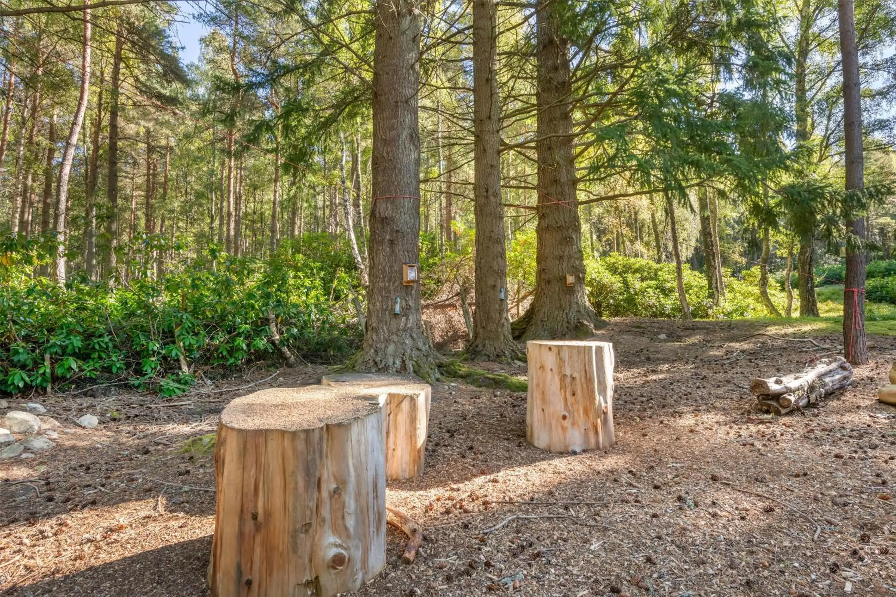 Property building in Hilton Grand Vacations Club Craigendarroch Suites Scotland Property building in Hilton Grand Vacations Club Craigendarroch Suites Scotland