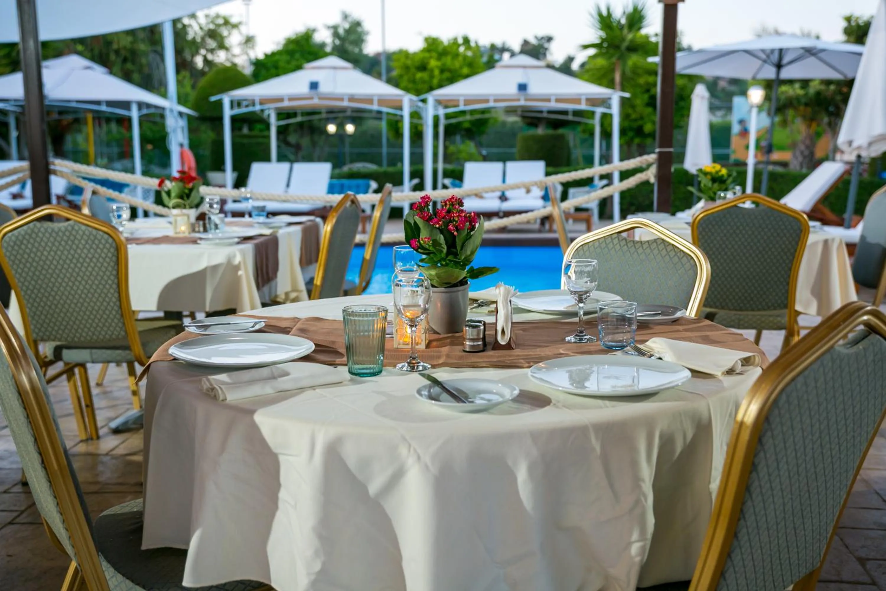 Restaurant/places to eat in Fitosinn Hotel