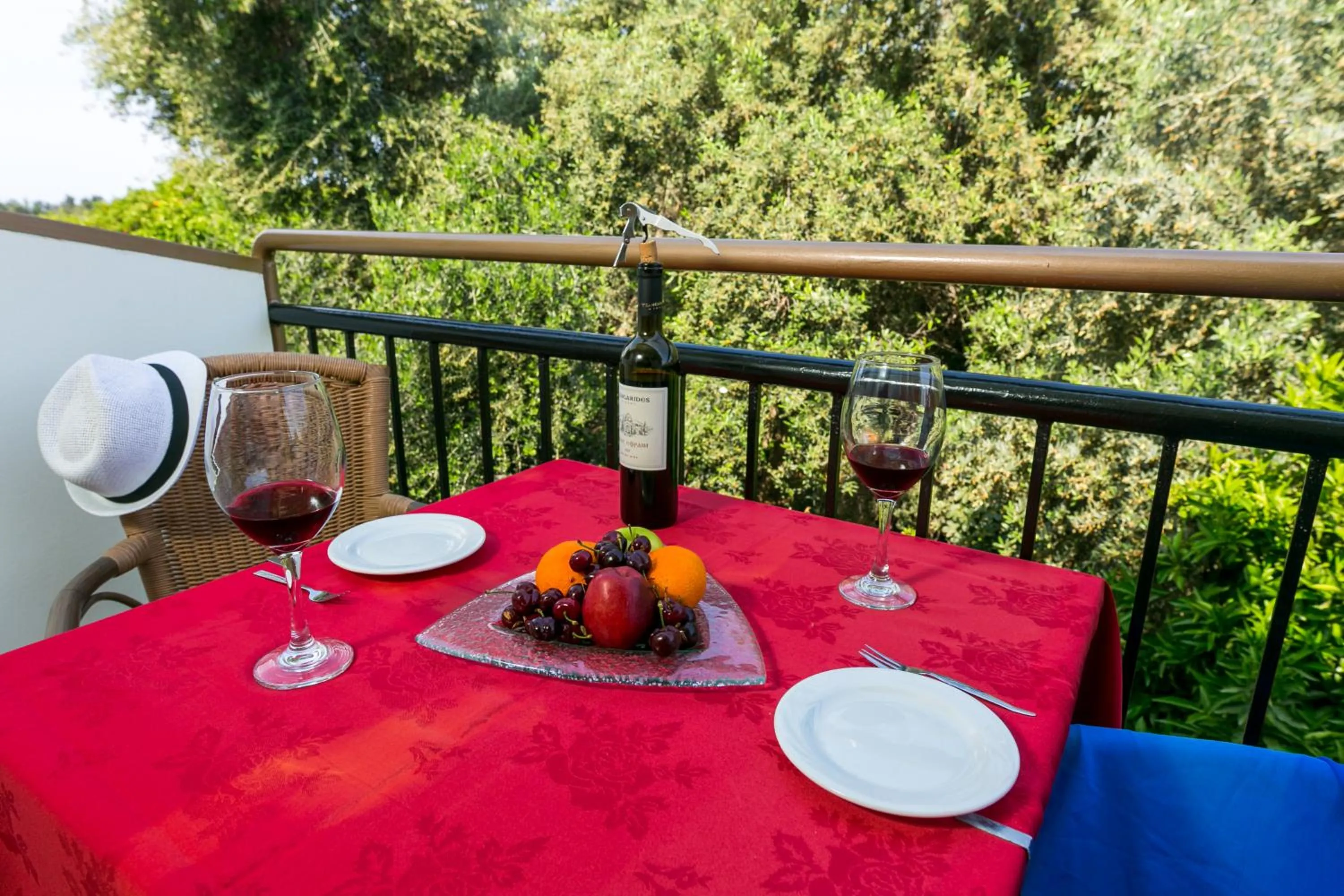 Balcony/Terrace in Fitosinn Hotel