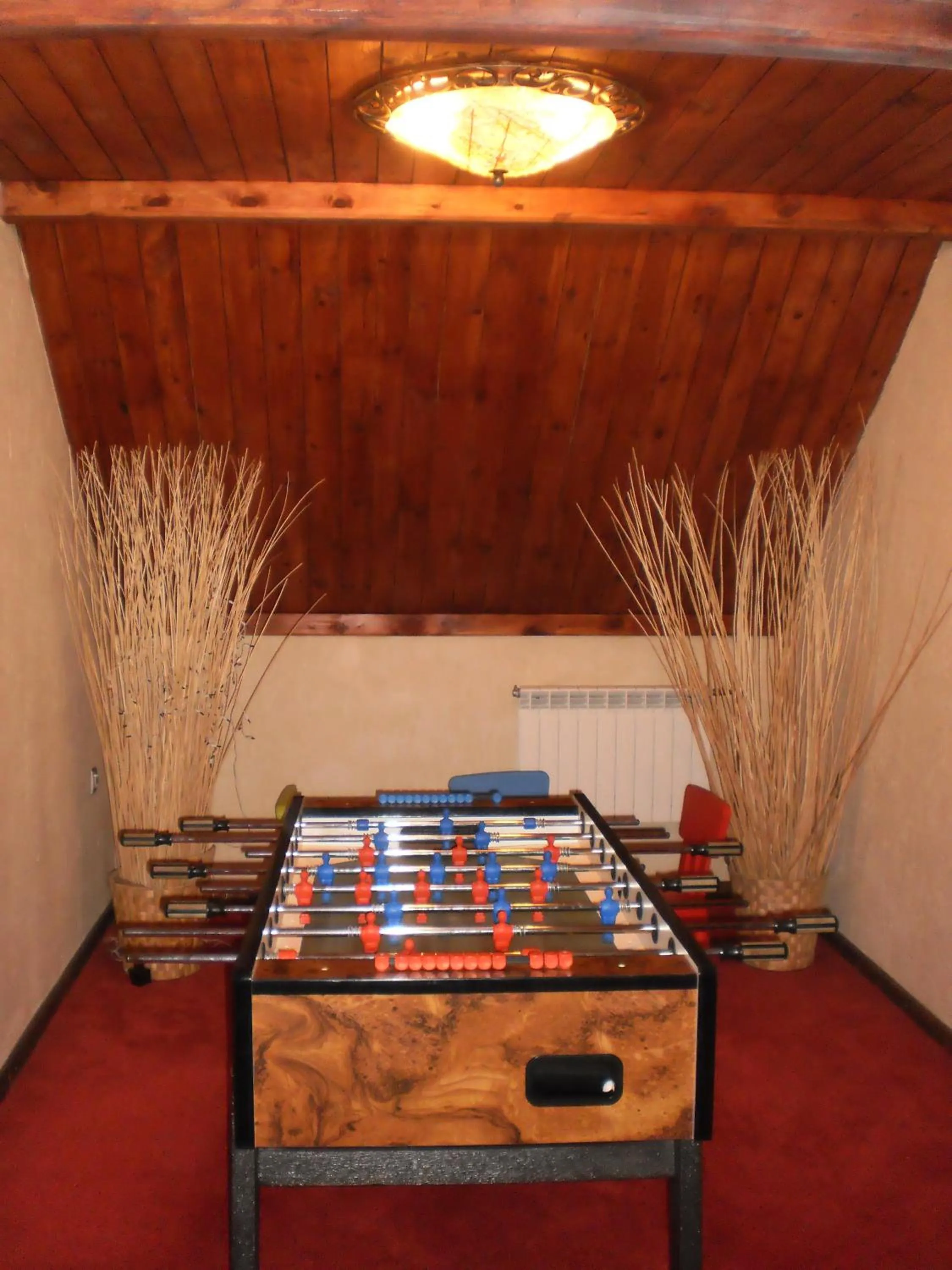 Entertainment in Resort Jura