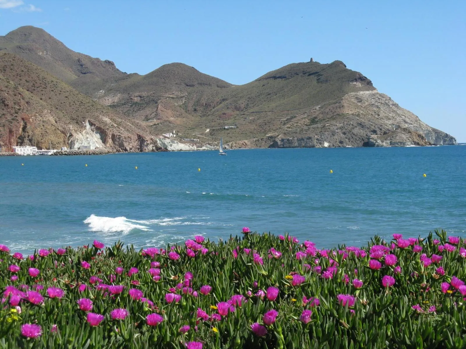 Spring in Albergue de San Jose