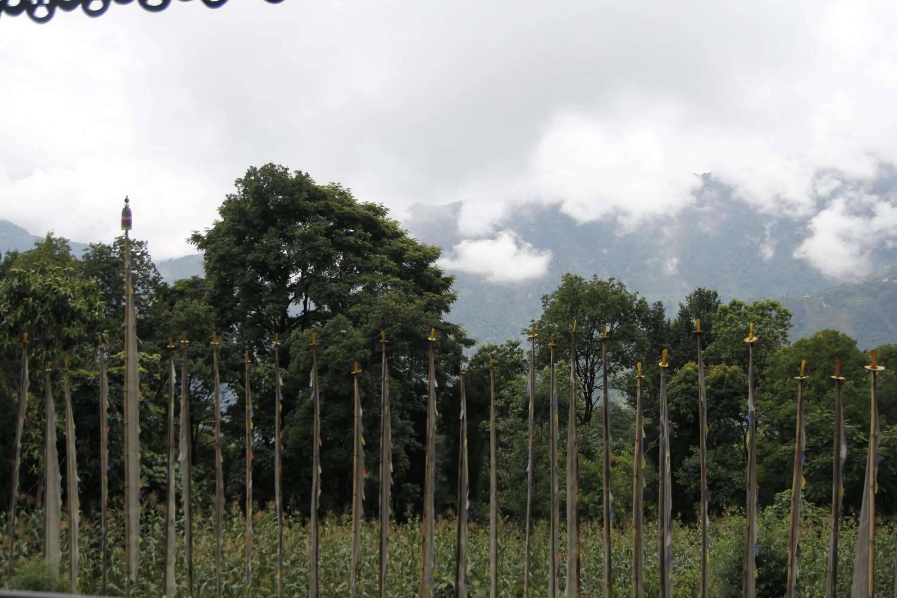 Nearby landmark in Vamoose Gomethang Homestay