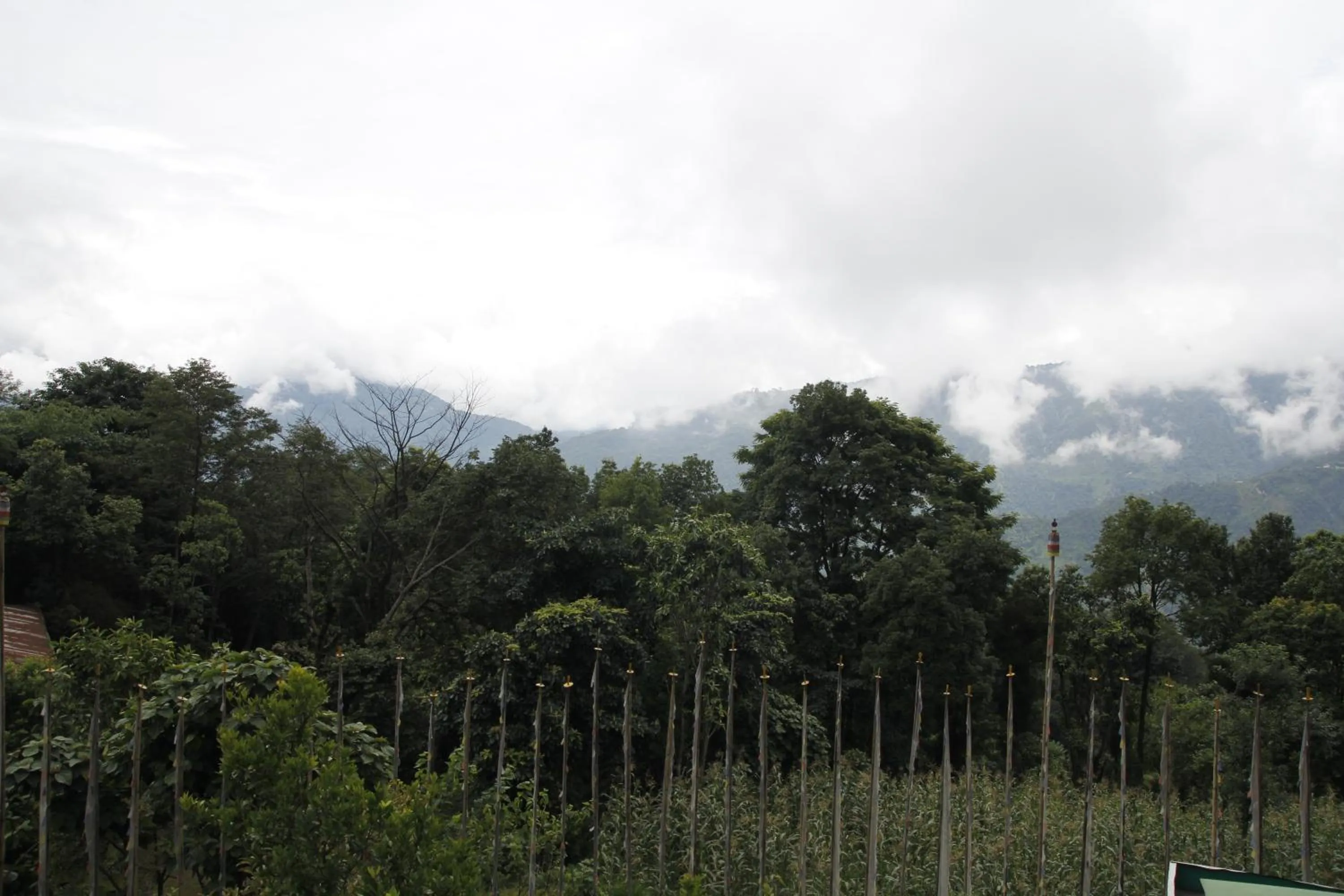 Natural landscape in Vamoose Gomethang Homestay