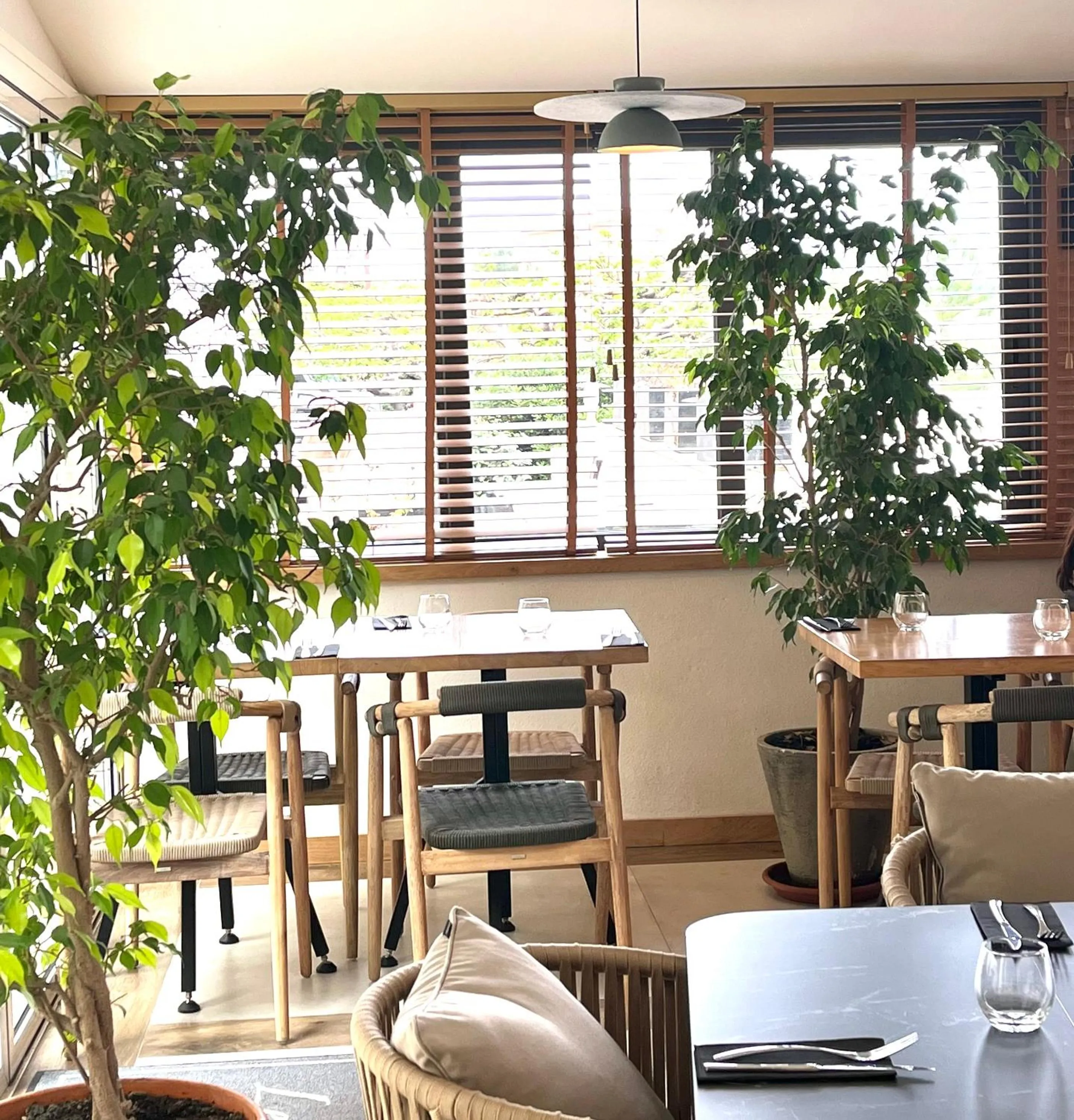 Restaurant/places to eat in Le Royal Hôtel Restaurant