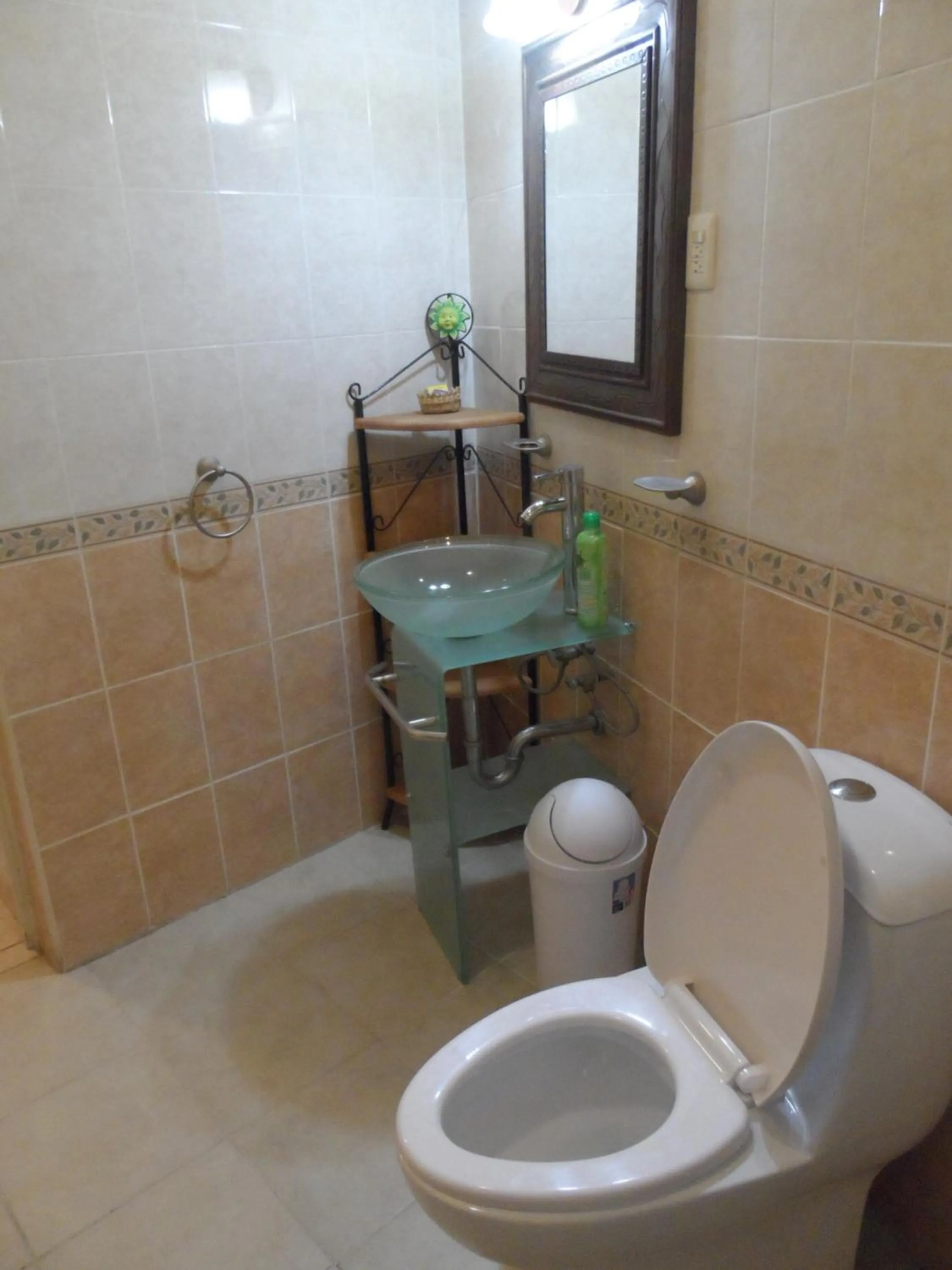 Decorative detail in Hotel Internacional Malitsin