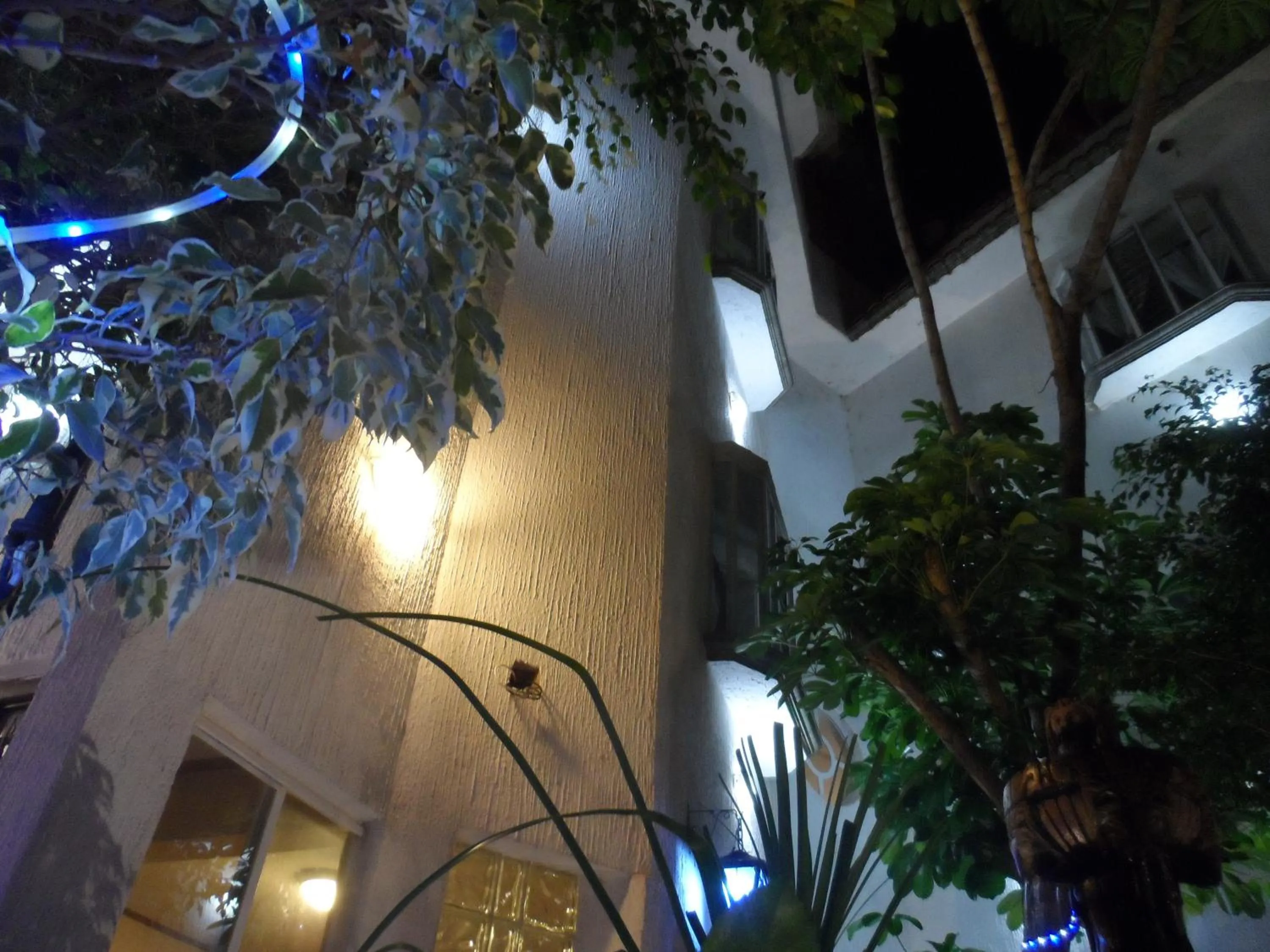 Property building in Hotel Internacional Malitsin