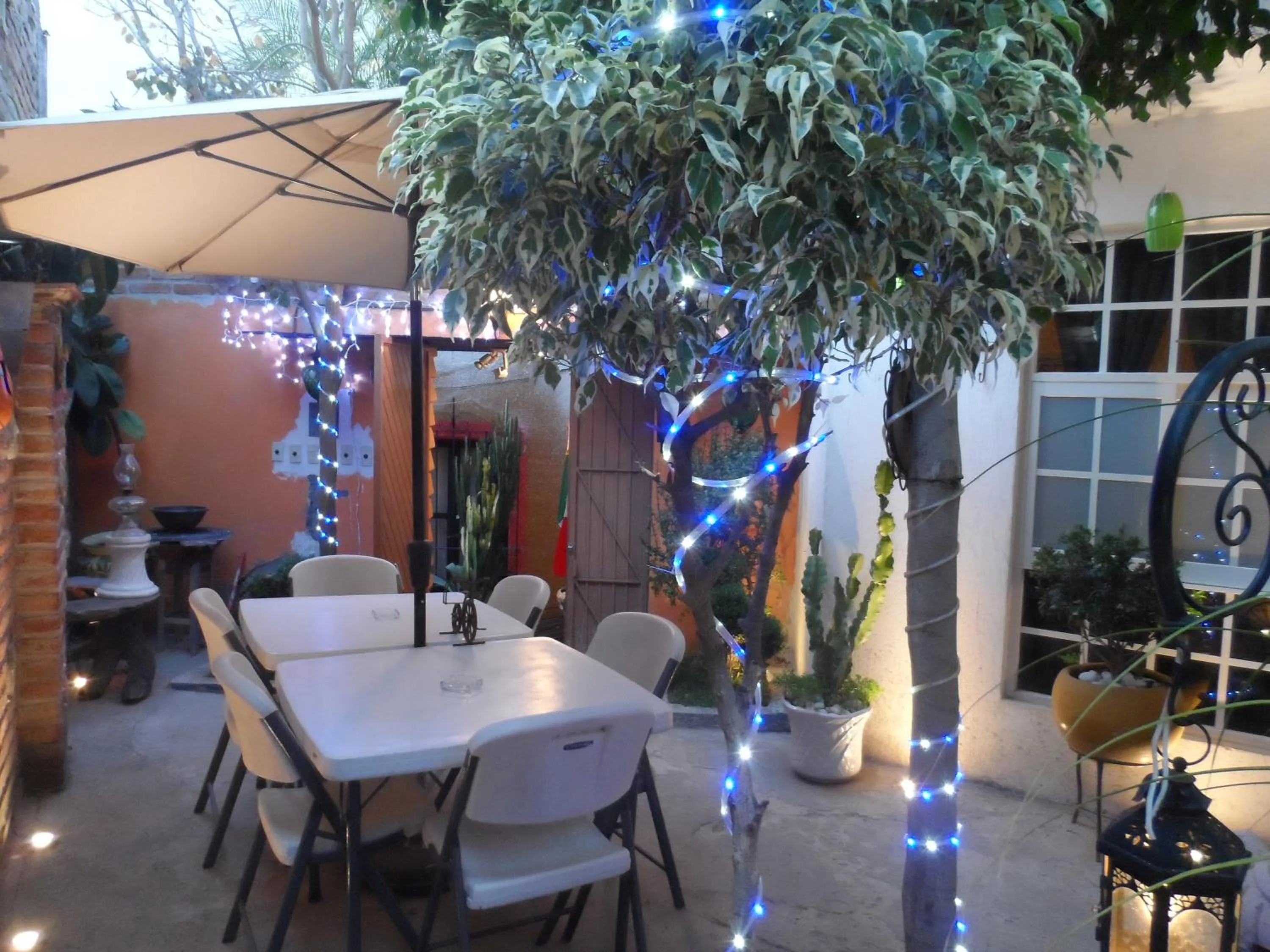 Garden in Hotel Internacional Malitsin