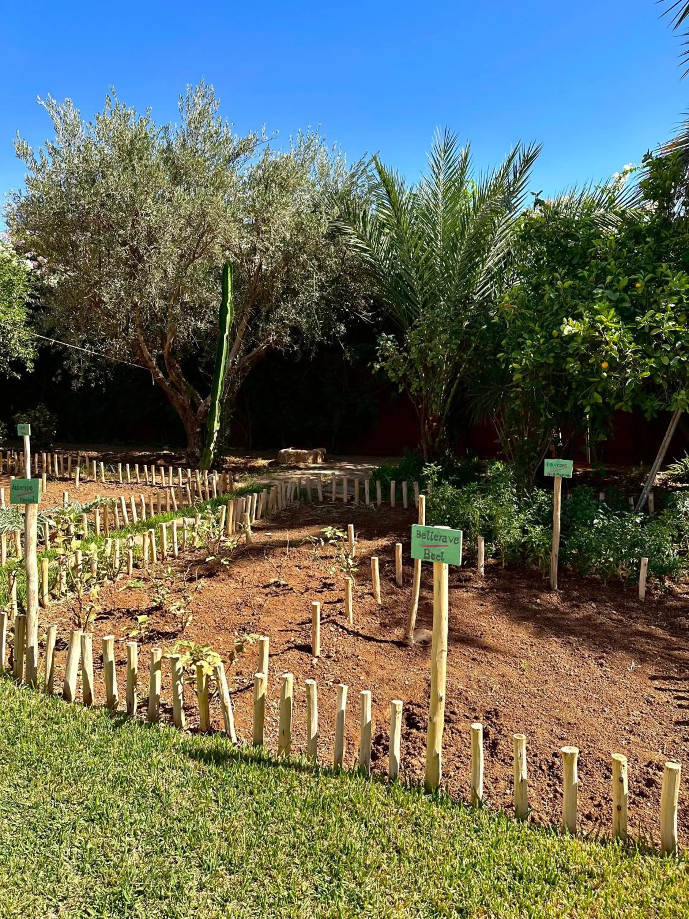 Garden in La Villa Des Golfs & PinkCactus