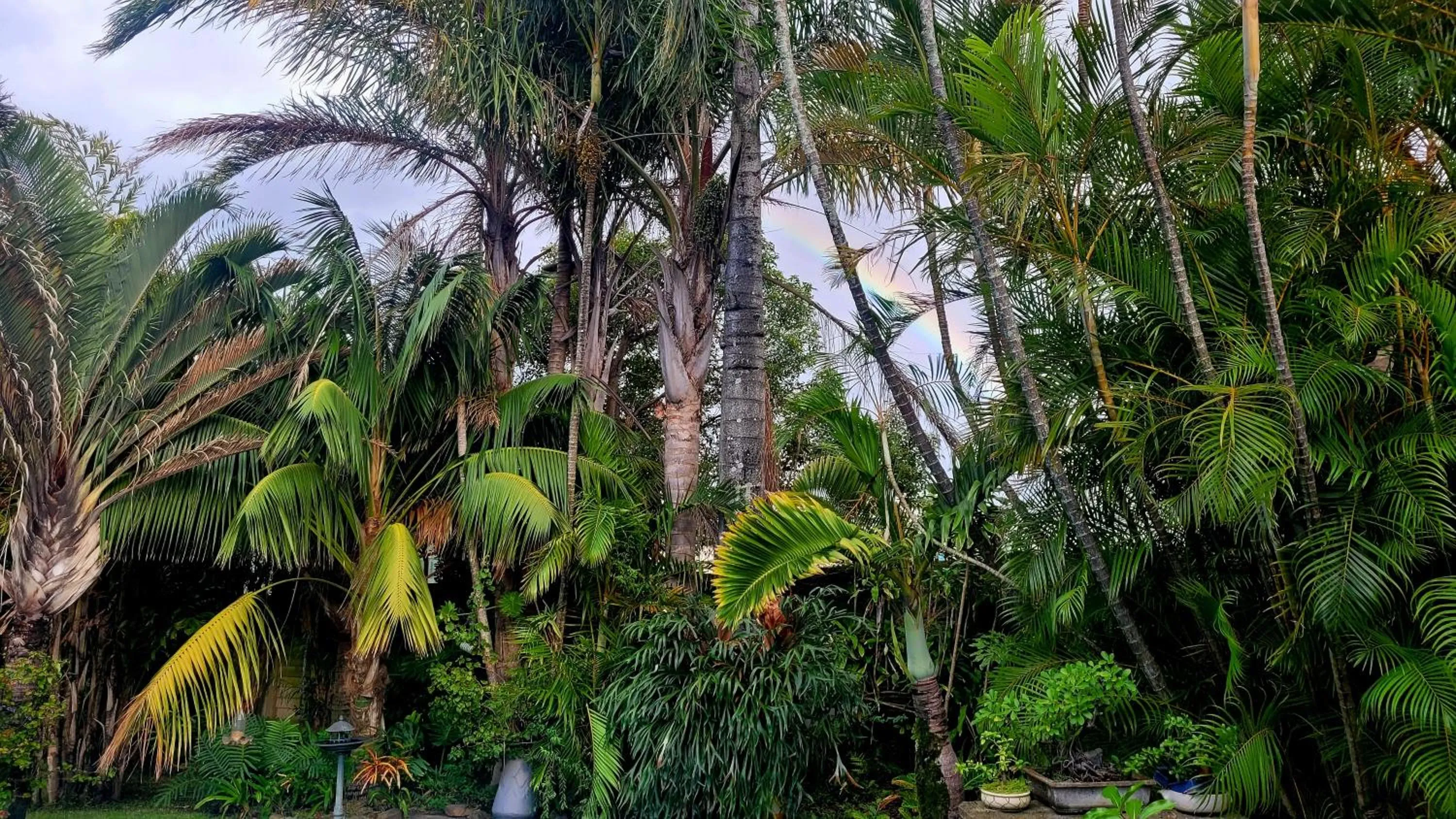 Property building in Kennington Palms B&B/Self Catering