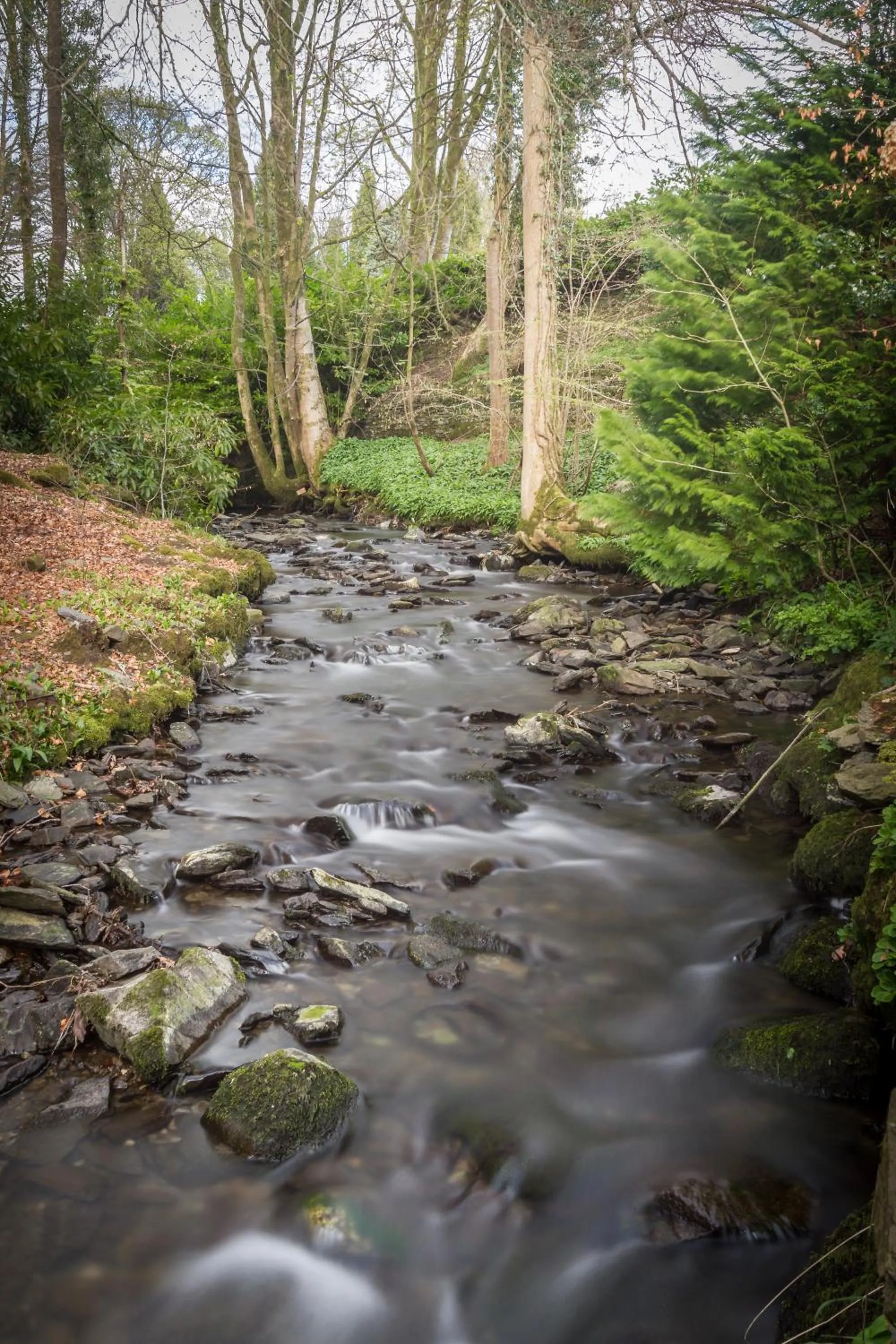 Natural landscape in Glencree